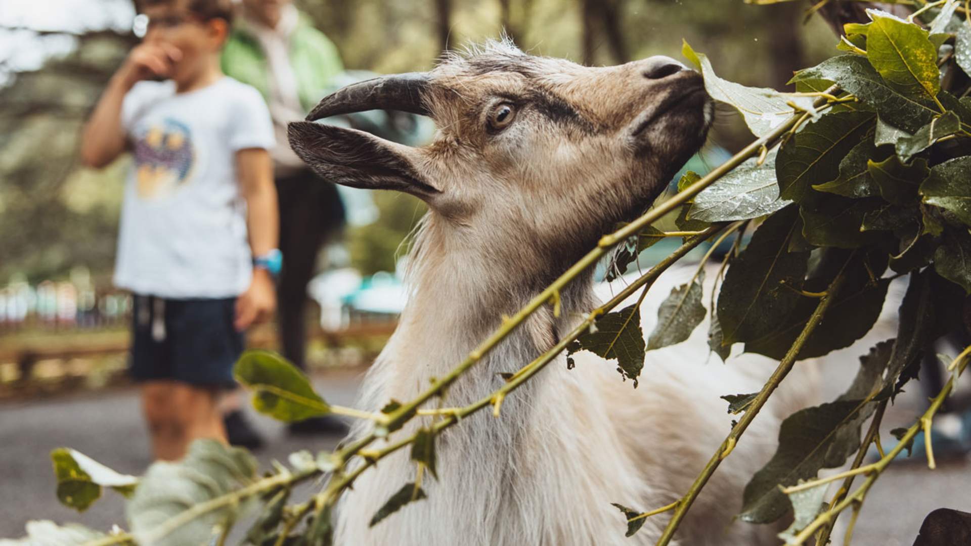 Mikkelparken_Bondegarden