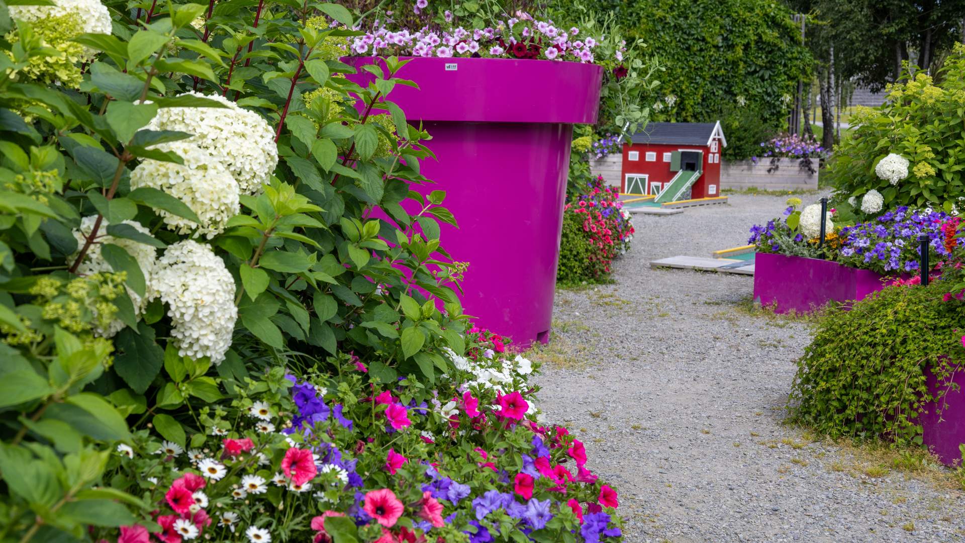 Mjøsparken_blomsterprakt