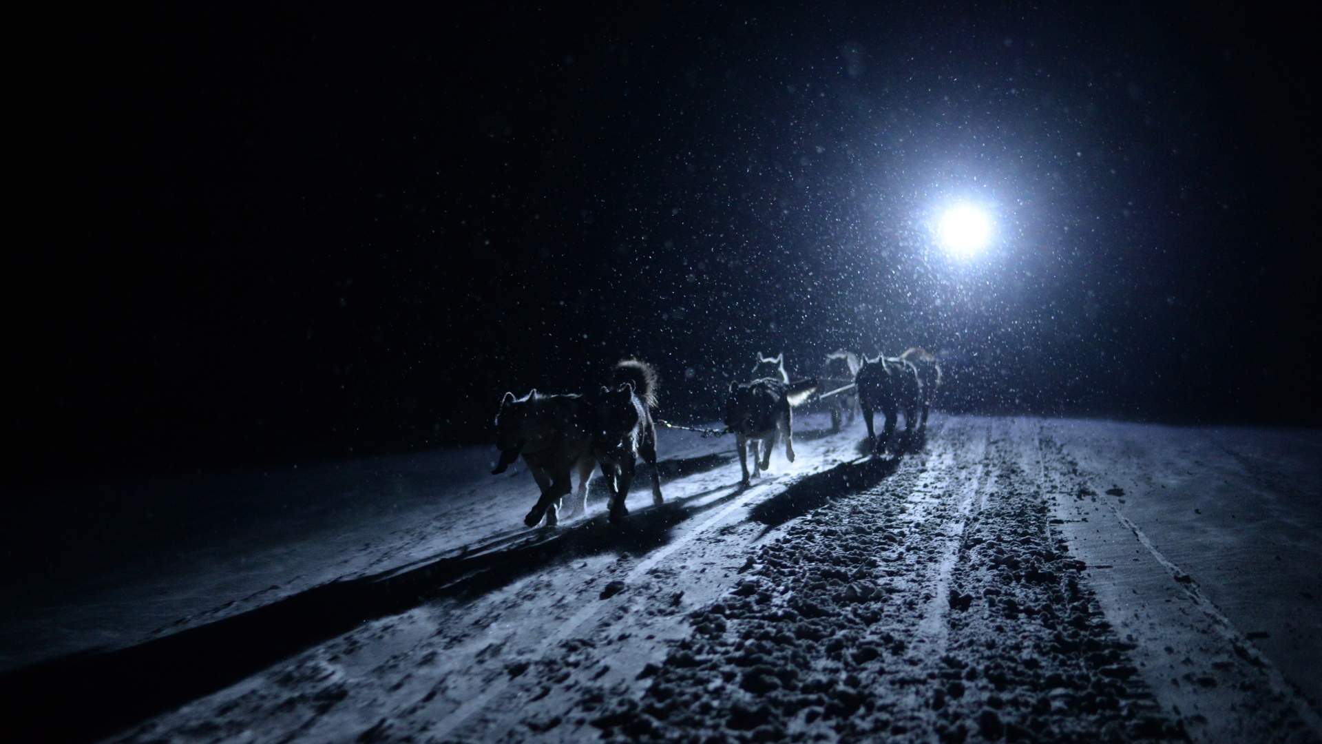 MortenRostille_ThrillOfTheDogsledding_05