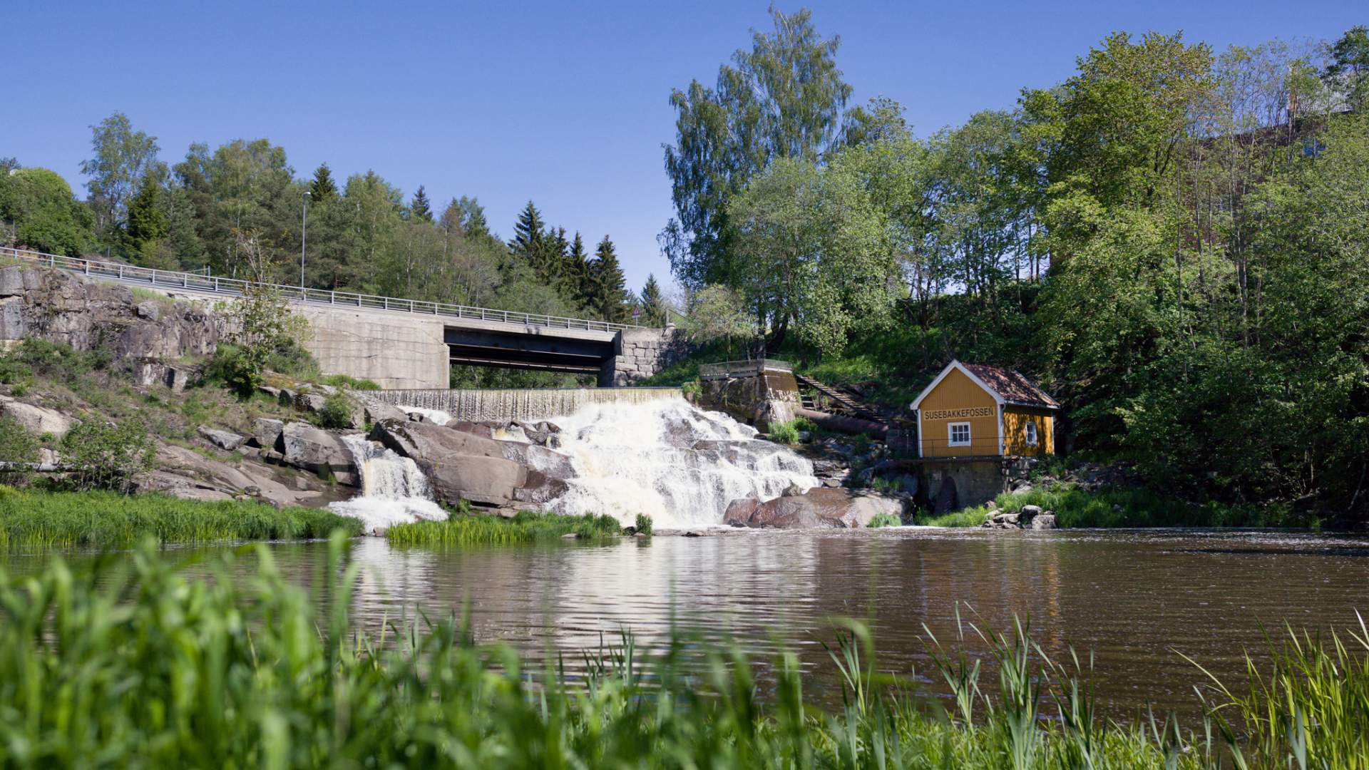 Mysenelva 23