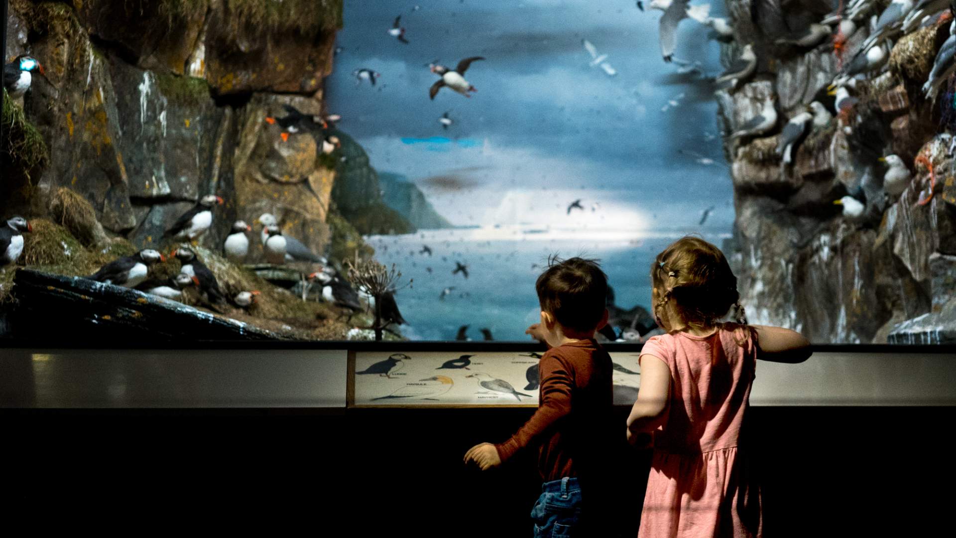 NHM-Diorama-Kristian-Paulsen
