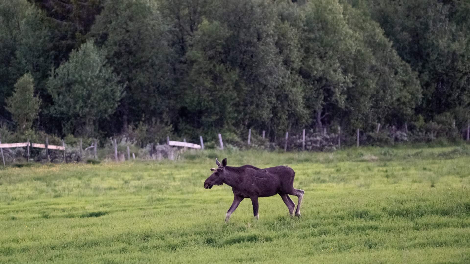 NOV08160-DeNoiseAI-clear