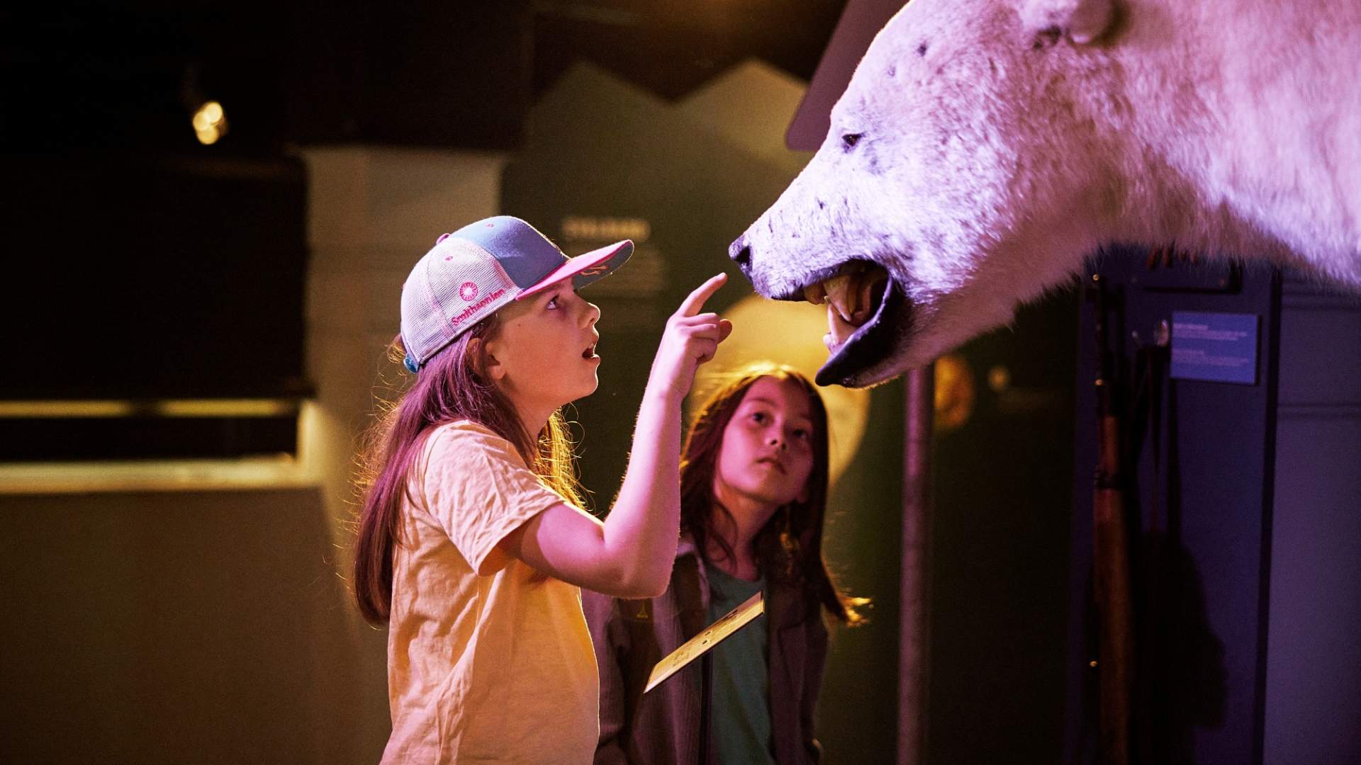 Naturhistorisk museum interiør