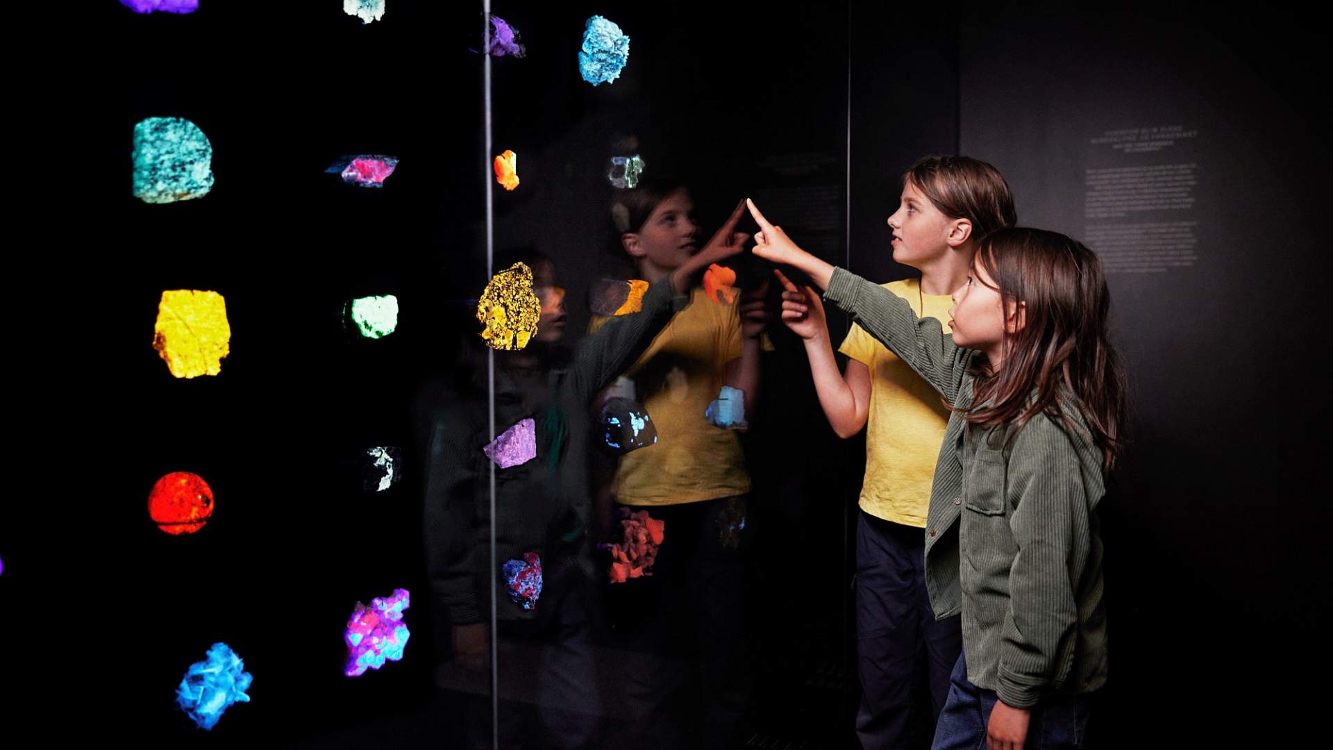 Naturhistorisk museum interiør