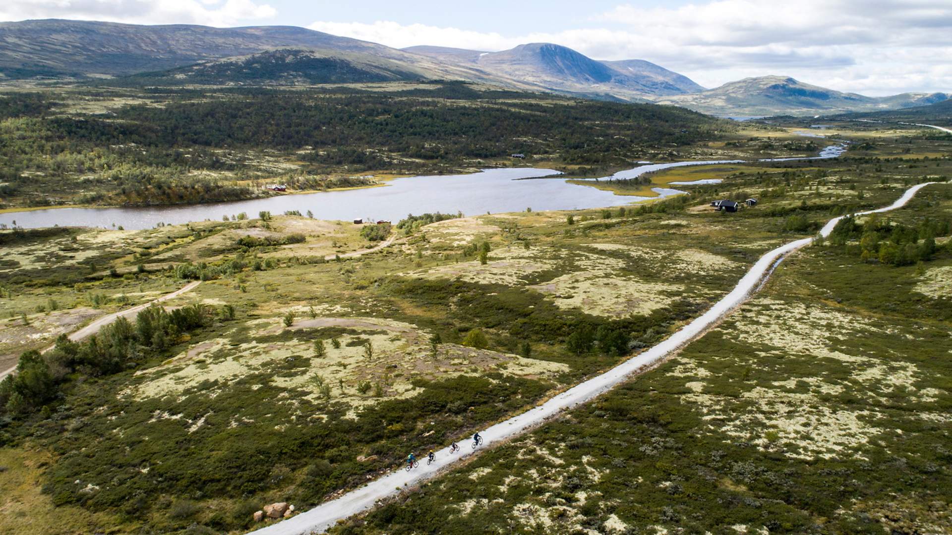 National Park Road over Dovrefjell