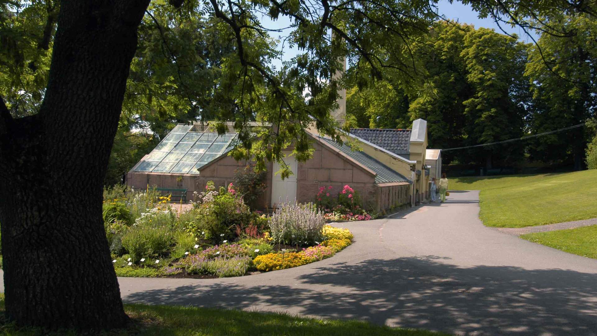 Naturhistorisk museum - Victoriahuset