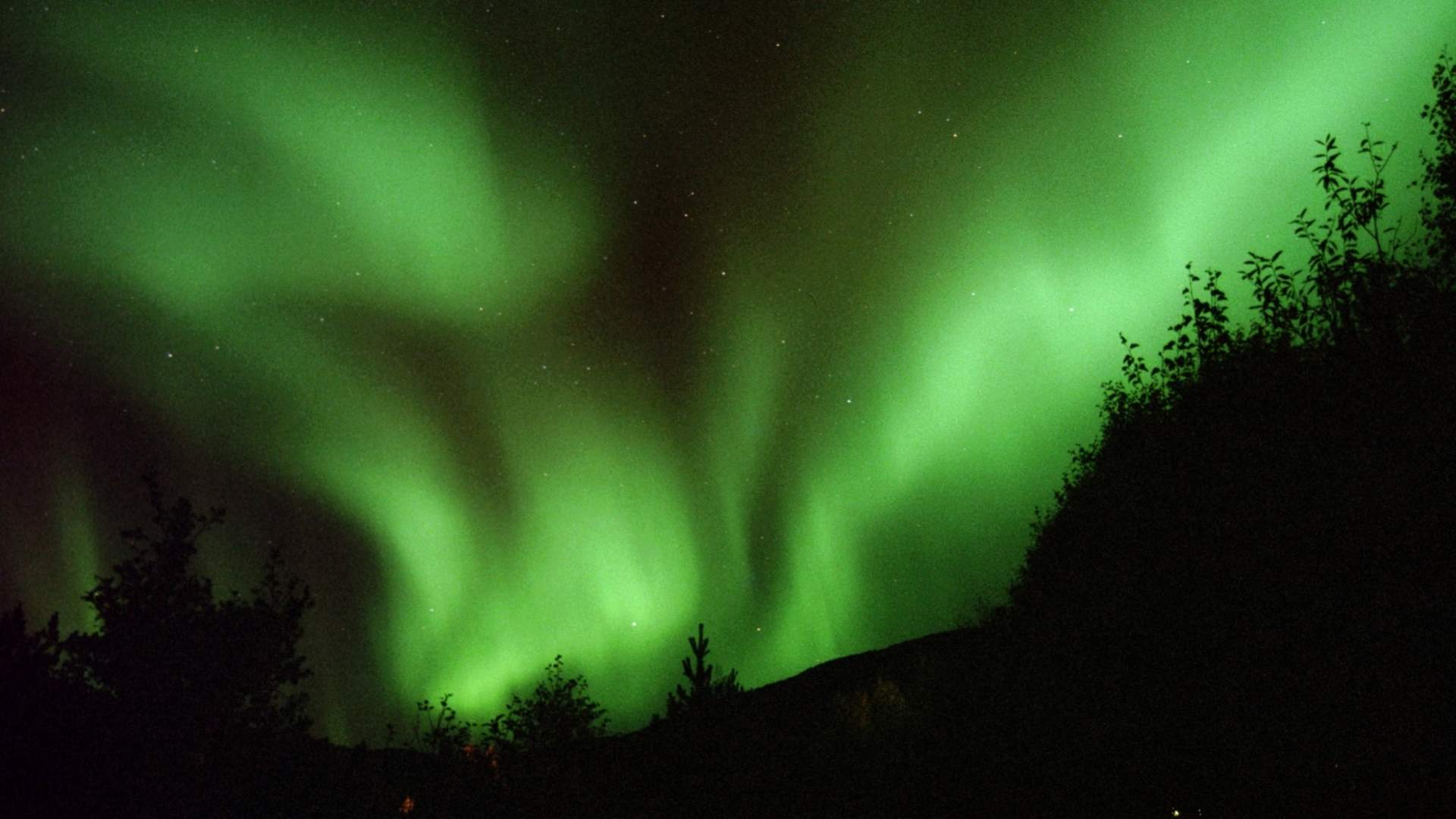 Nordlys. Foto Frode Jenssen 018