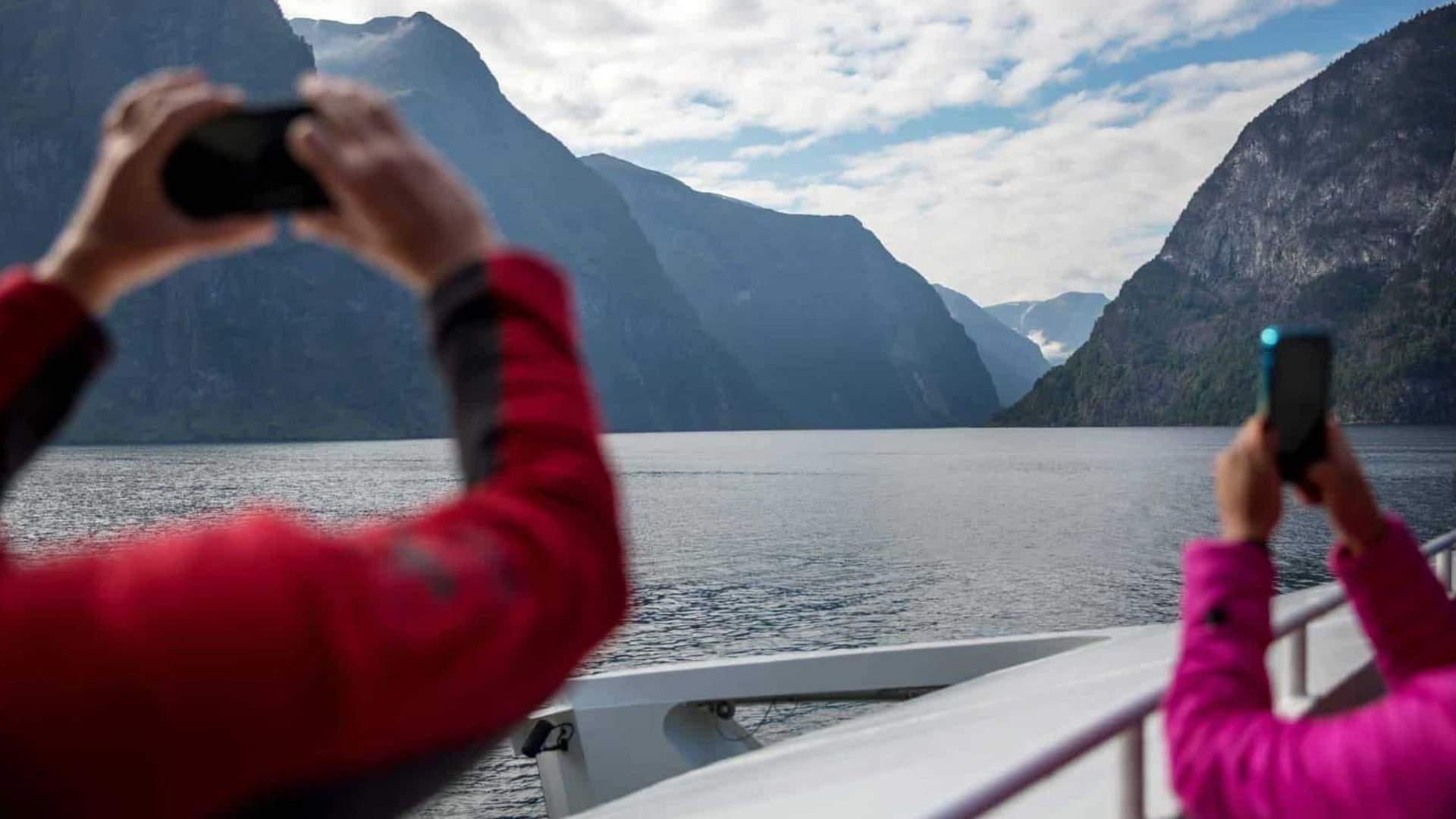 Norled Fjordcruise