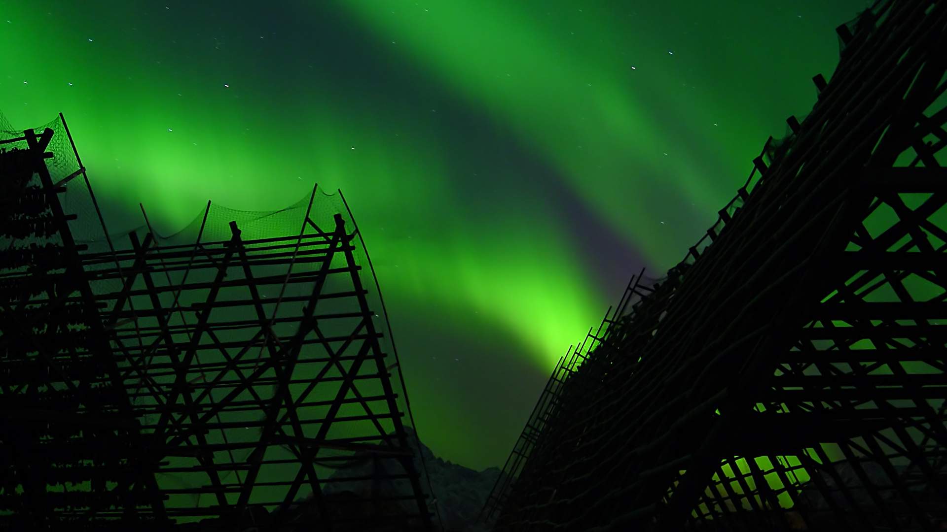 Northern Lights over Svolvær in Lofoten  Northern Norway_