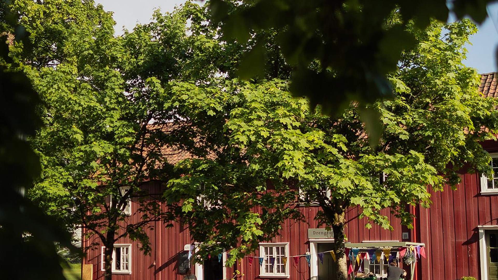 Norvald Kafe og vinhus_ute_sommer_tunet