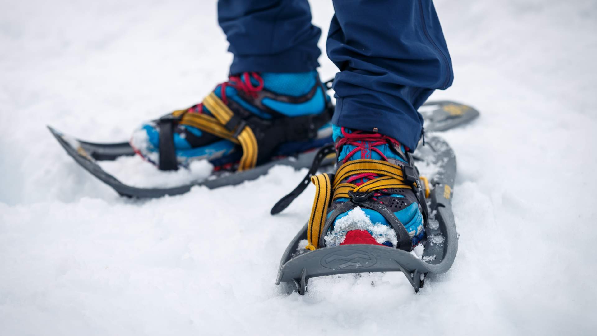 Norway Mountain Guides-34