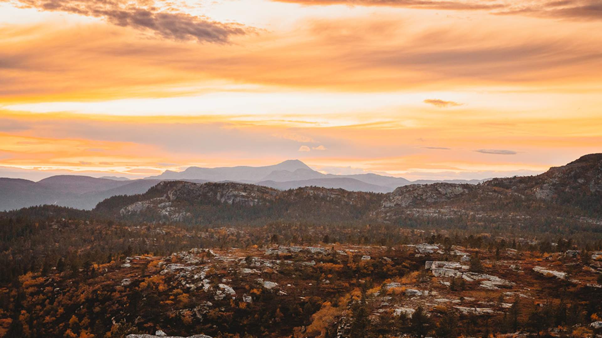 Notodden_høst_utsikt over fjellet_web