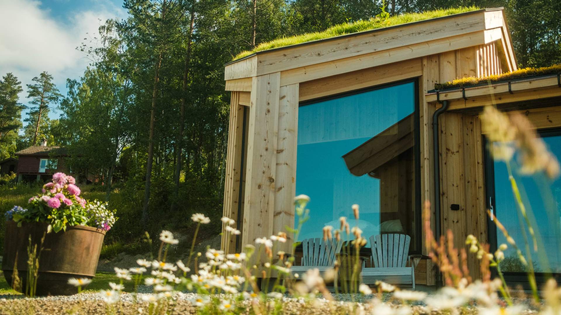 Notodden_sommer_MARTIN LITWICKI_hytte på Bolkesjø gård 3-web