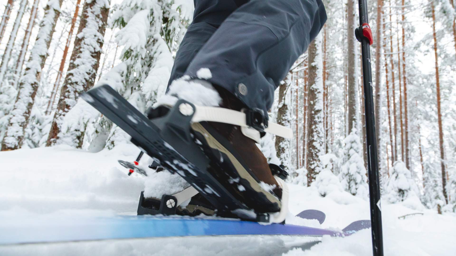 OAC-Skinbased-FW23-24-Marketing23