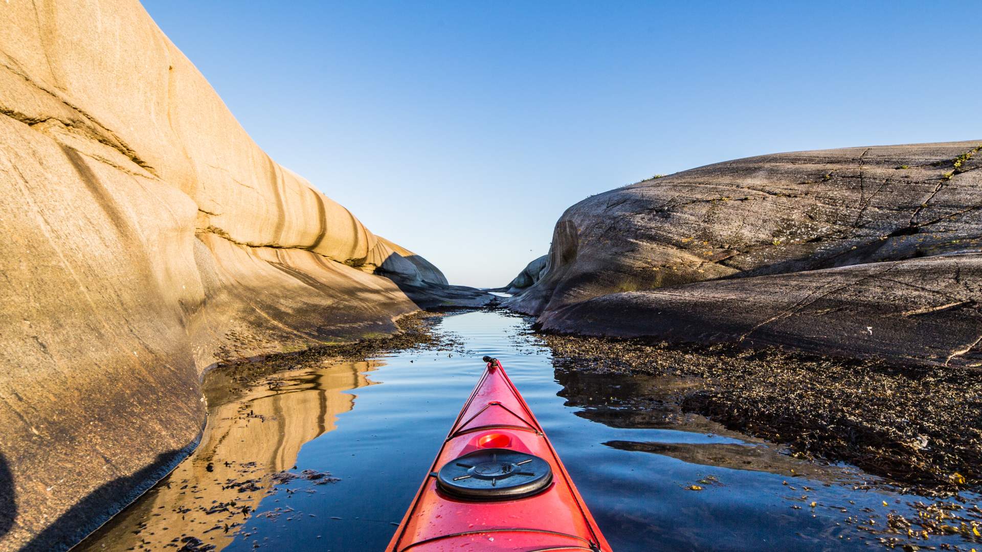 Portør padling 2