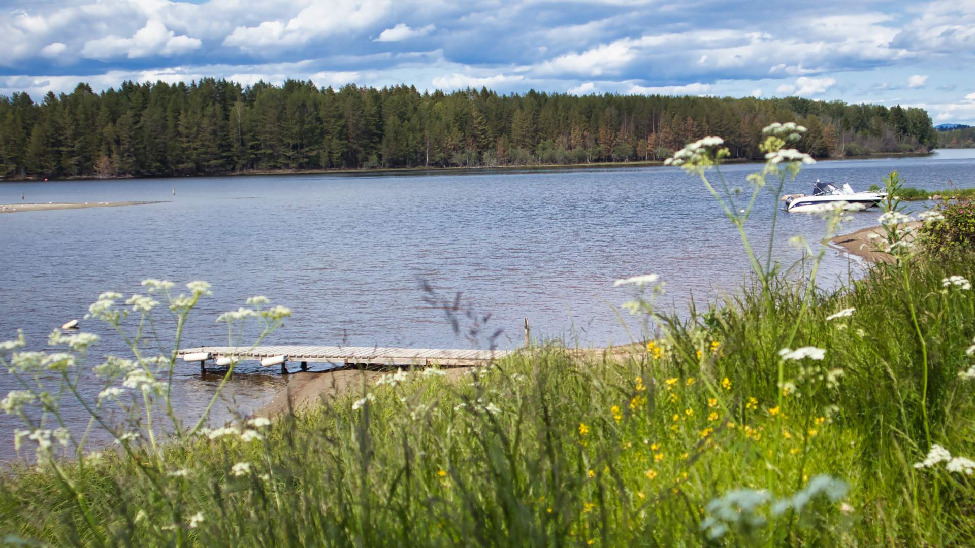 Brygge ved Odin Camping