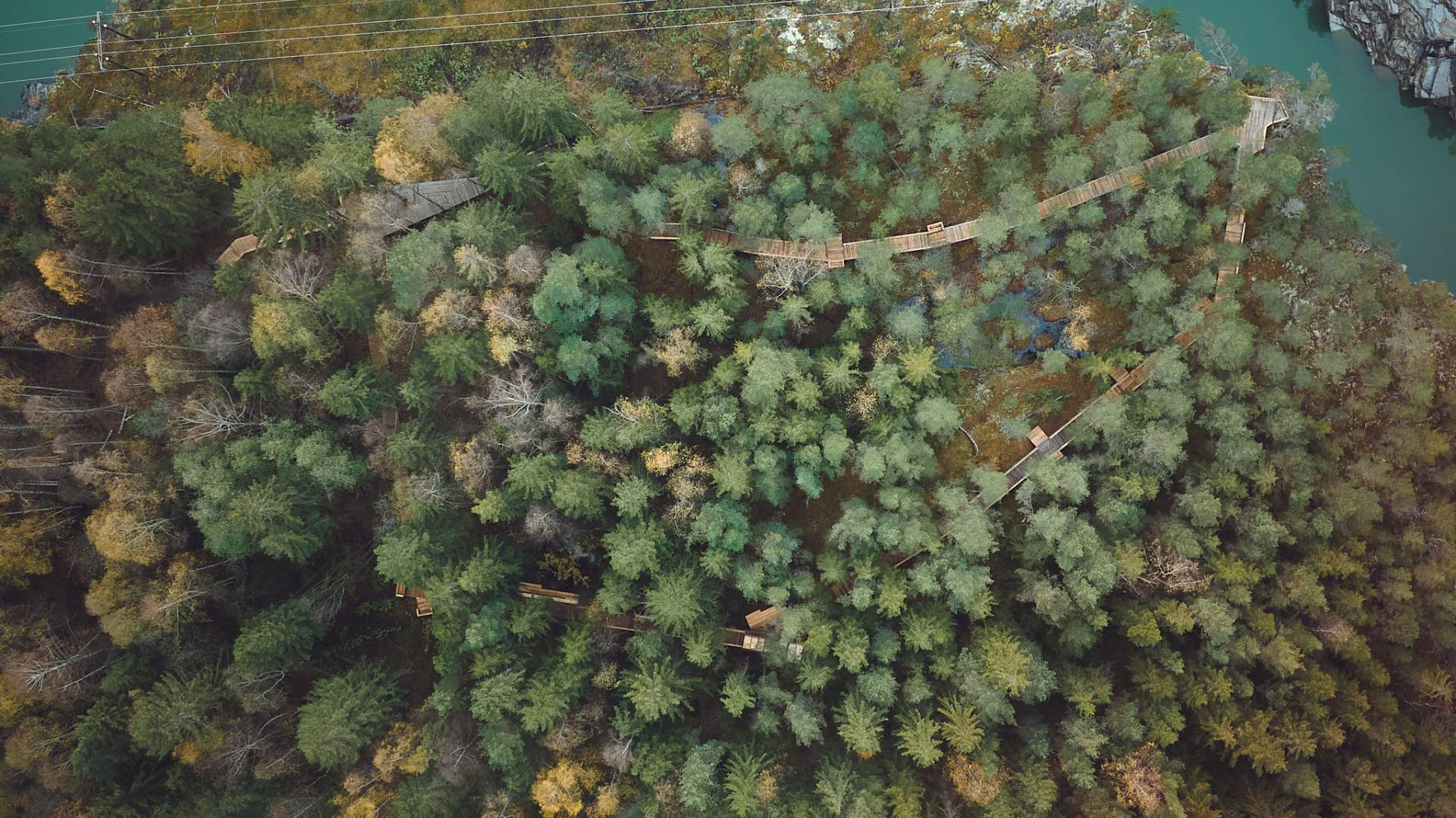 Okulus-Nattfly-Åpning-Web-DJI_0045