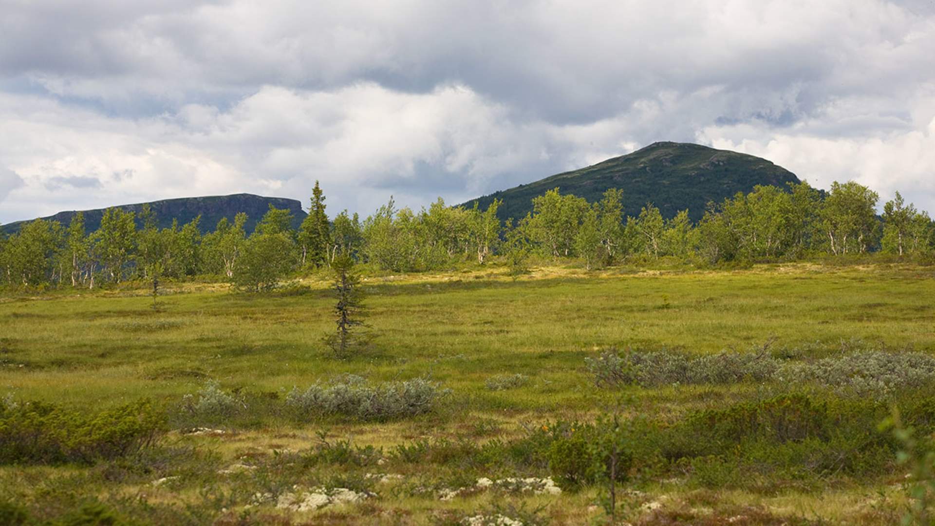Langsua Nasjonalpark - Ormtjernkampen