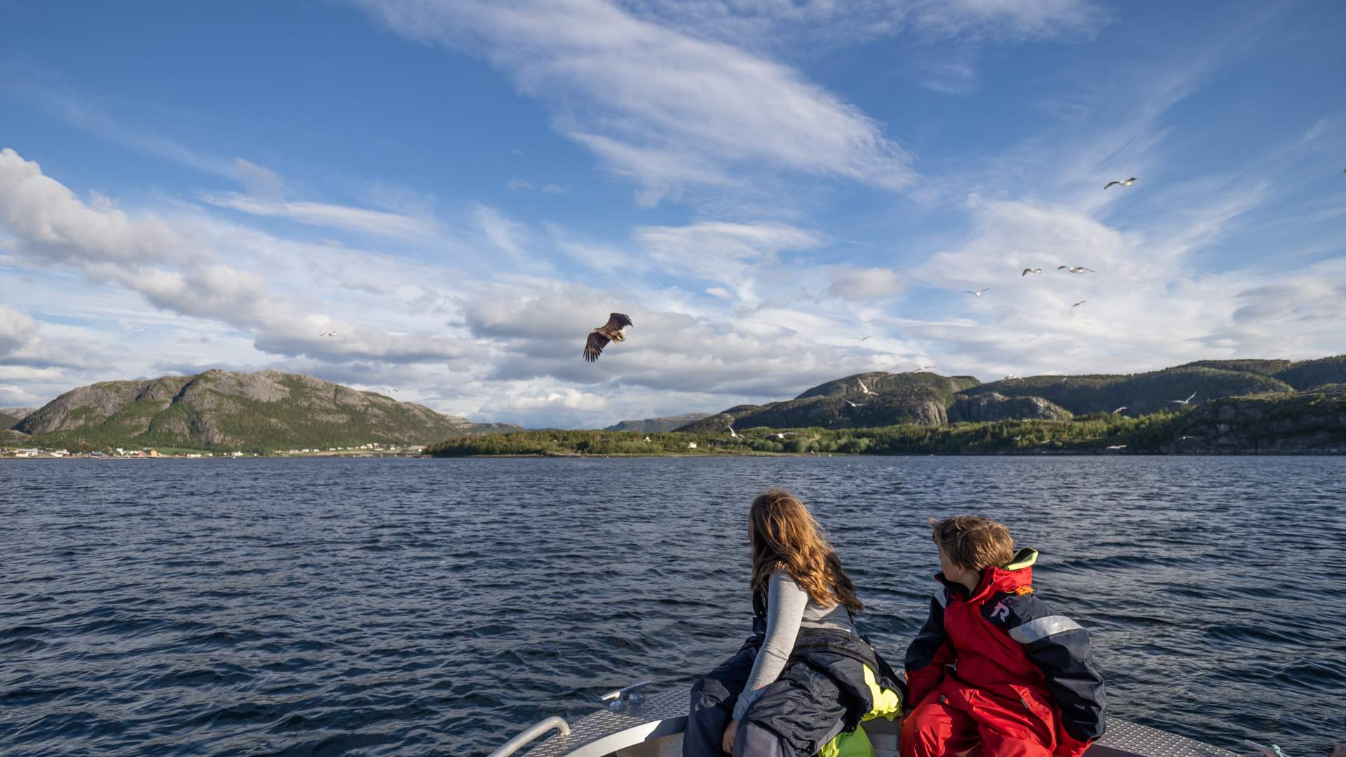 Ørnesafari i Flatanger. Foto: Wenche Dahle