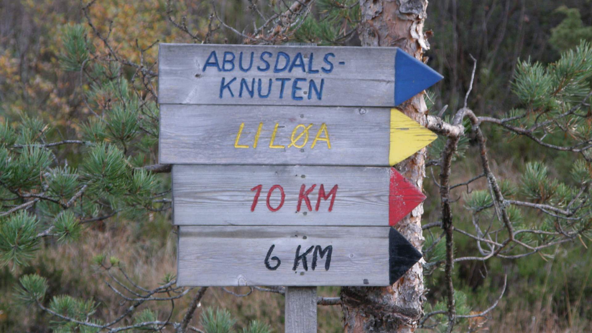 Veiviser til Abusdalsknuten