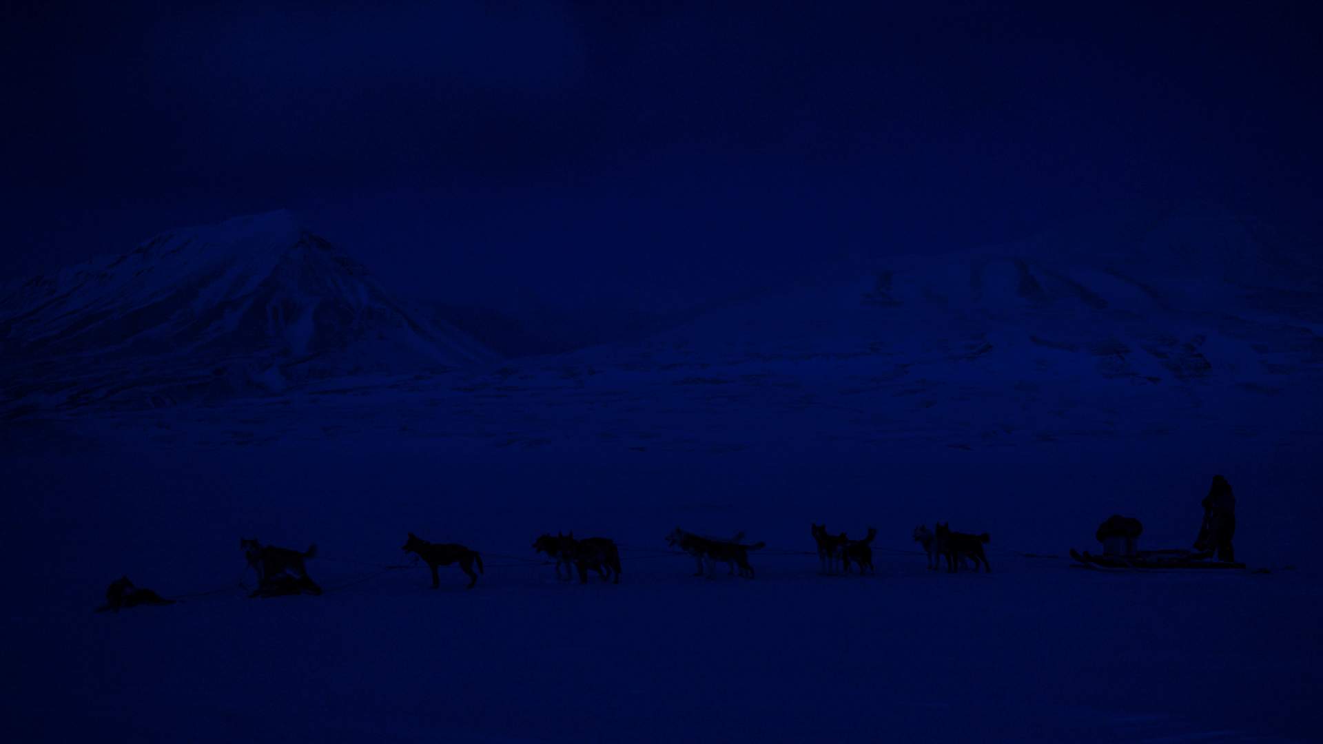 PÅ TUR MED SLEDEHUNDER (4)