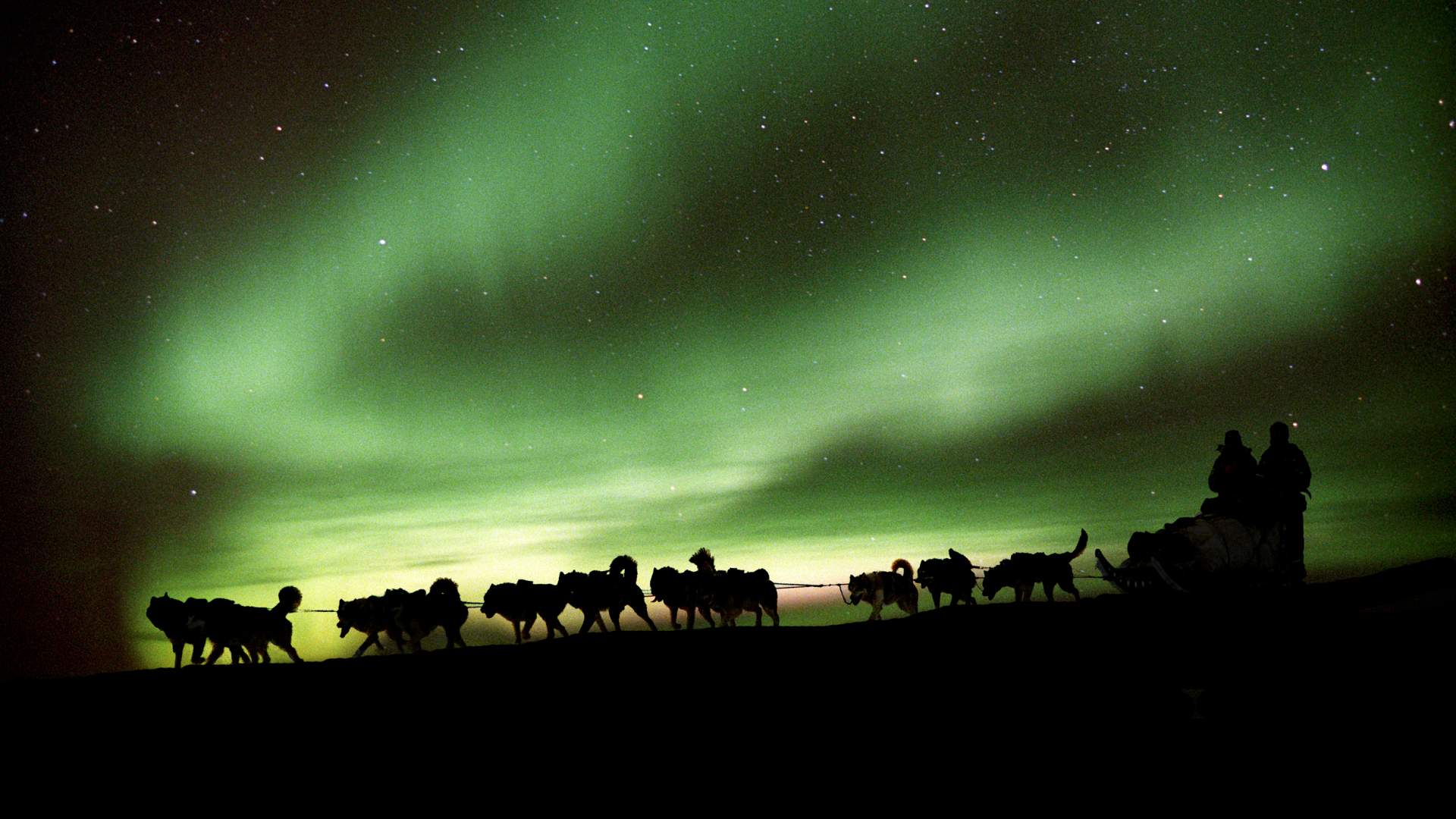 På jakt etter nordlys med hundespann