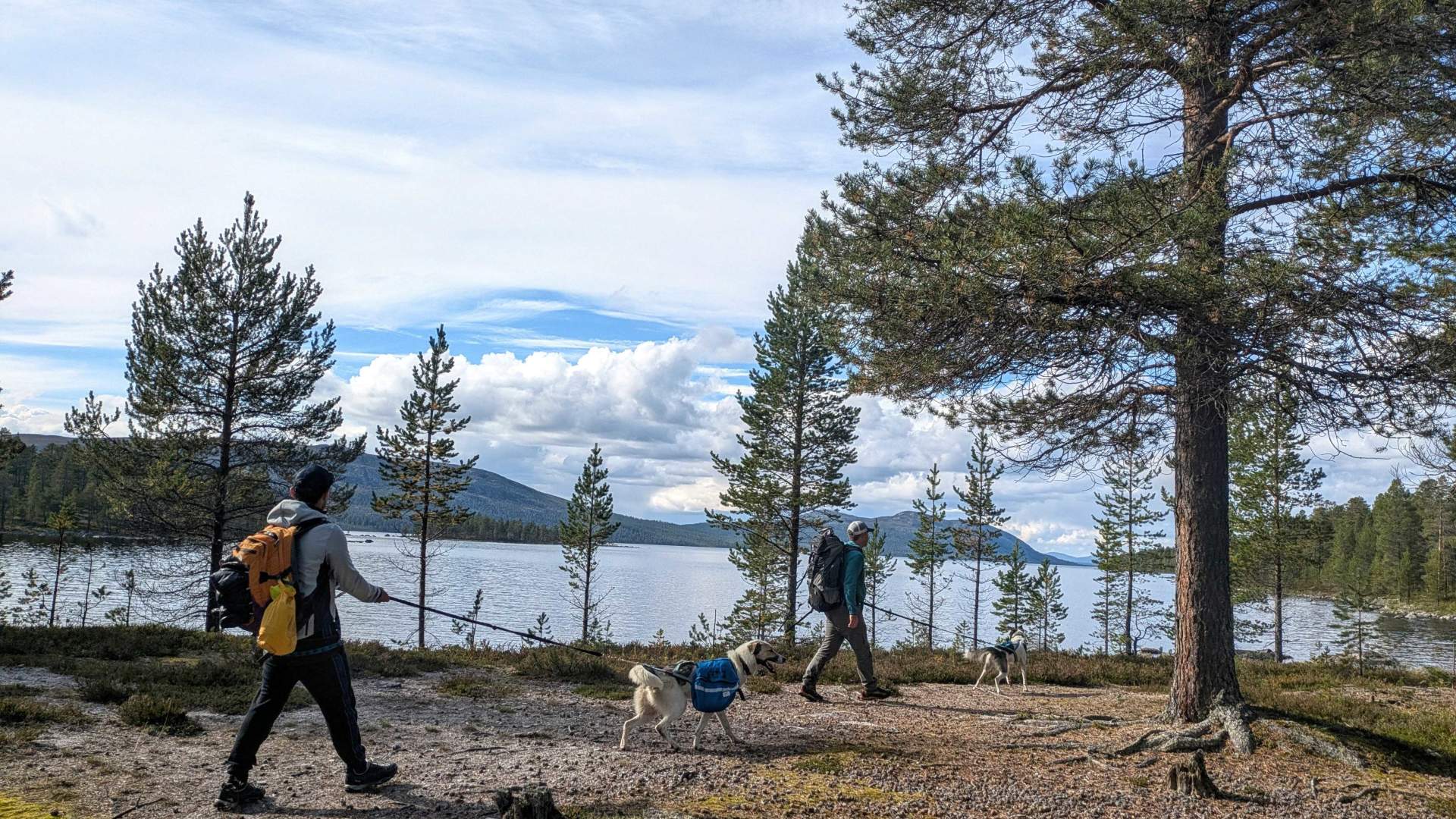 På tur