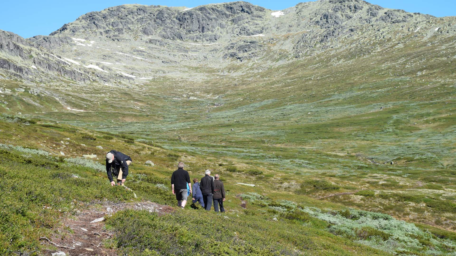 På vei til Langsuas høyeste topp Skaget _Morten Liebe
