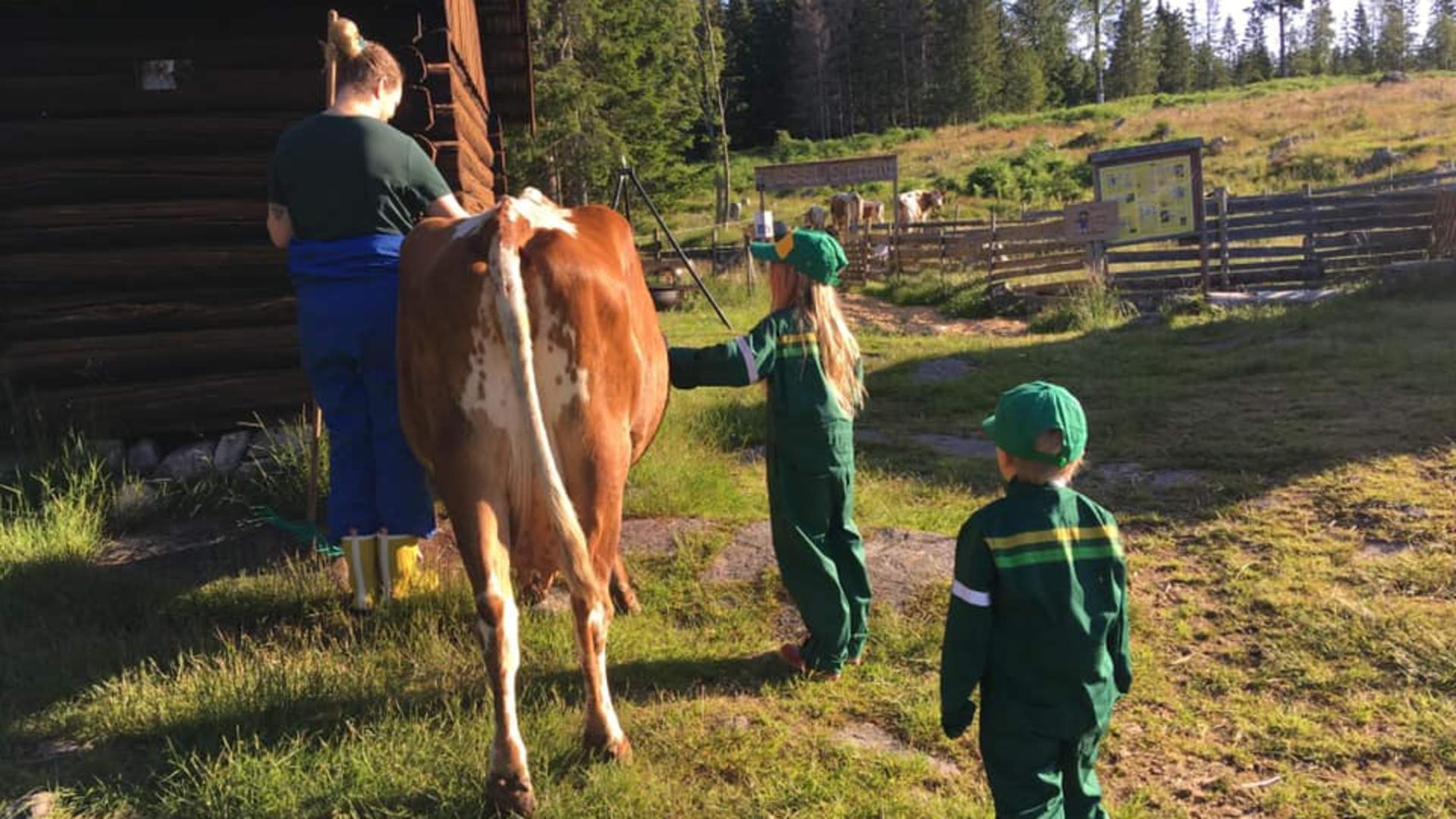 Nordgardsetra 4H seter