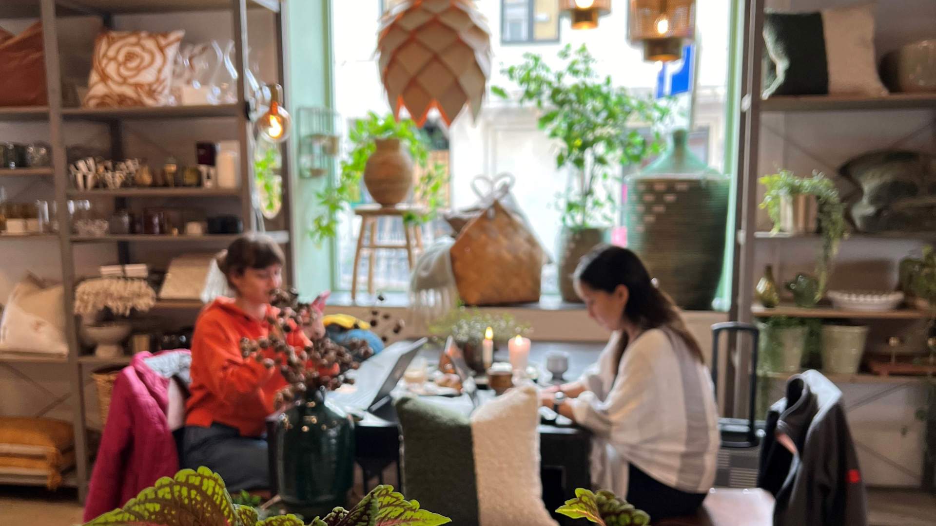 Palma kaffehjørnet 4 bredde