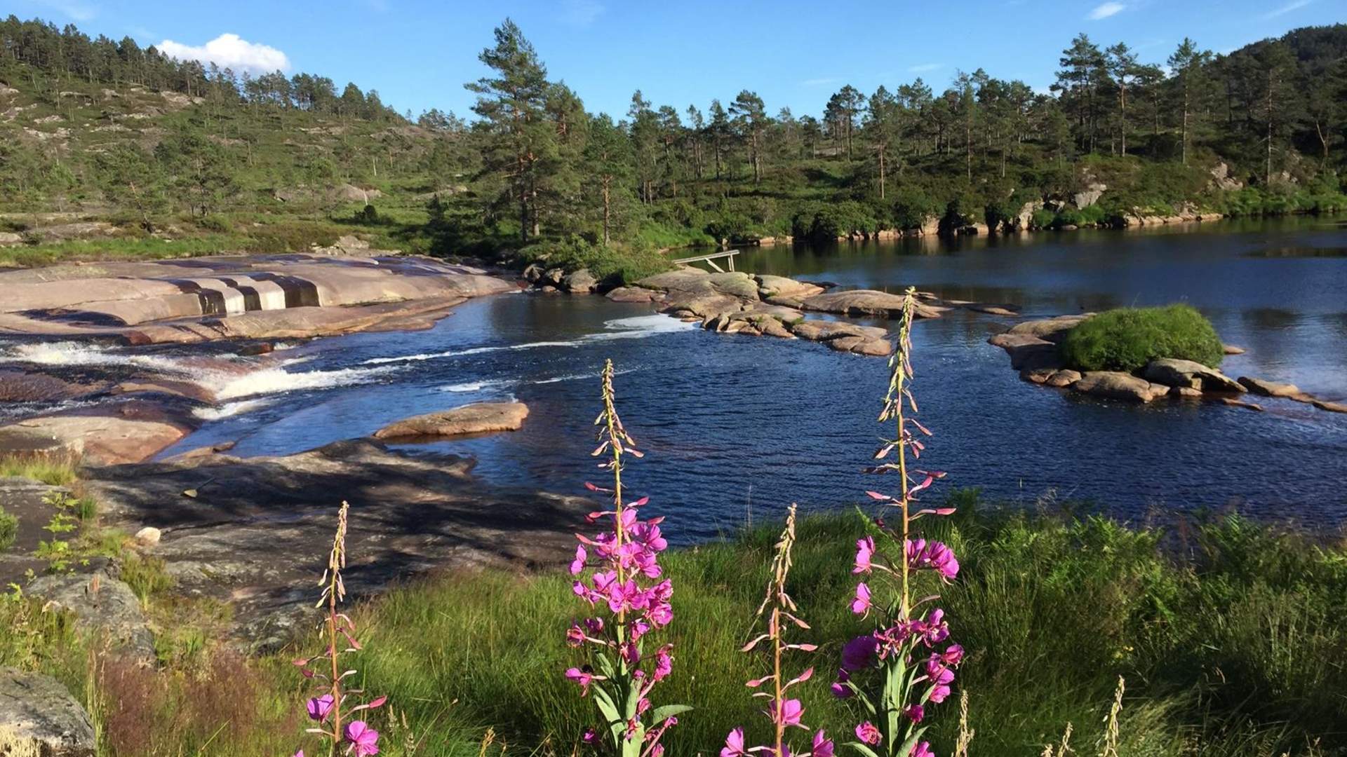 Fossdal Gård Farm