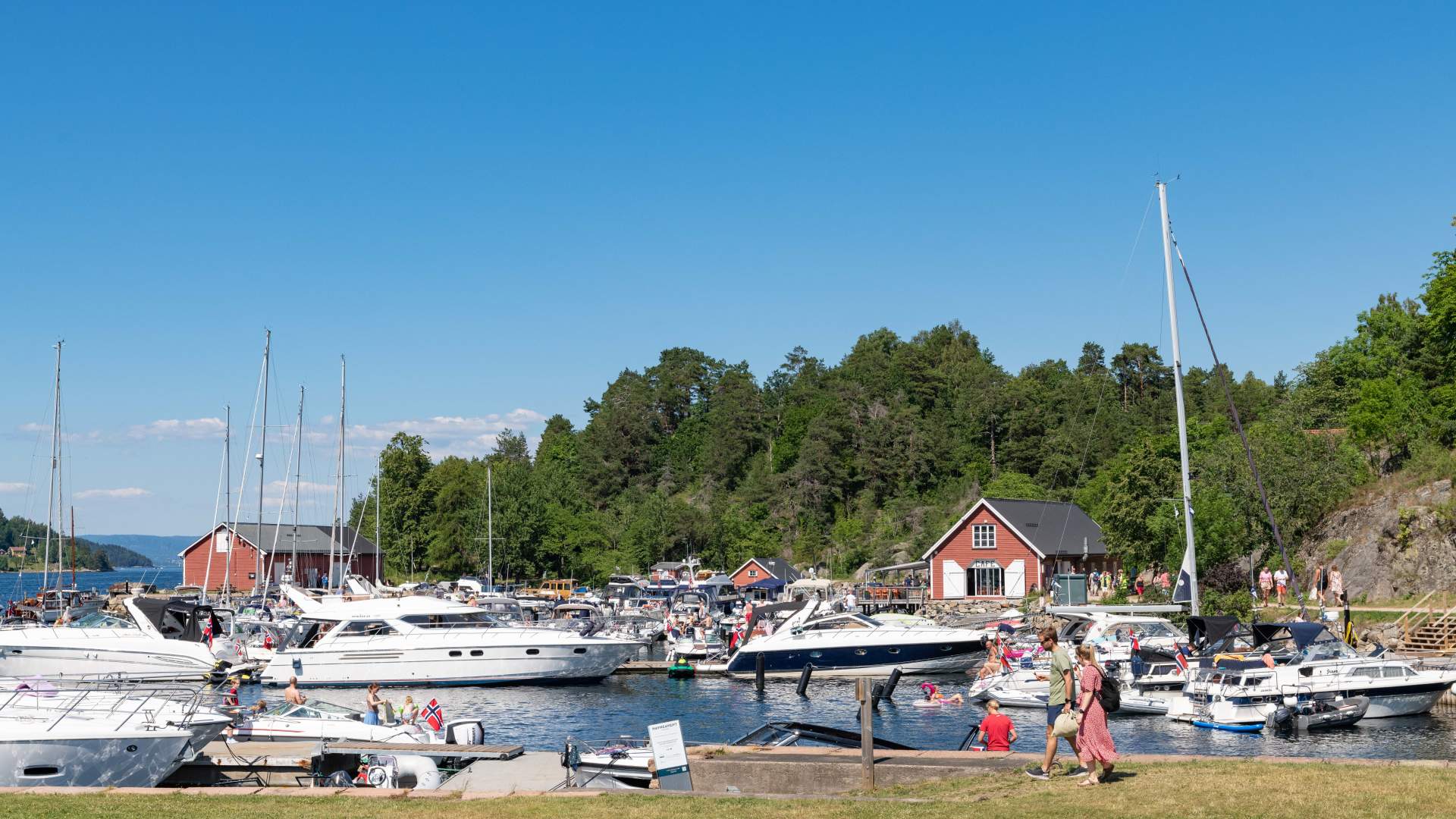 PaulHughsonFrognKommune11