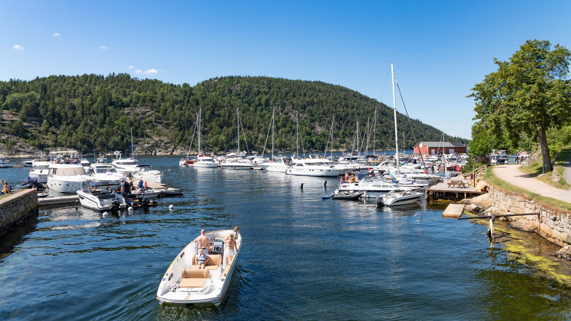 PaulHughsonFrognKommune34