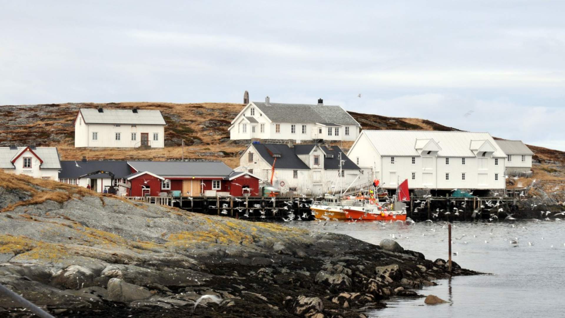 Perle på Namdalskysten