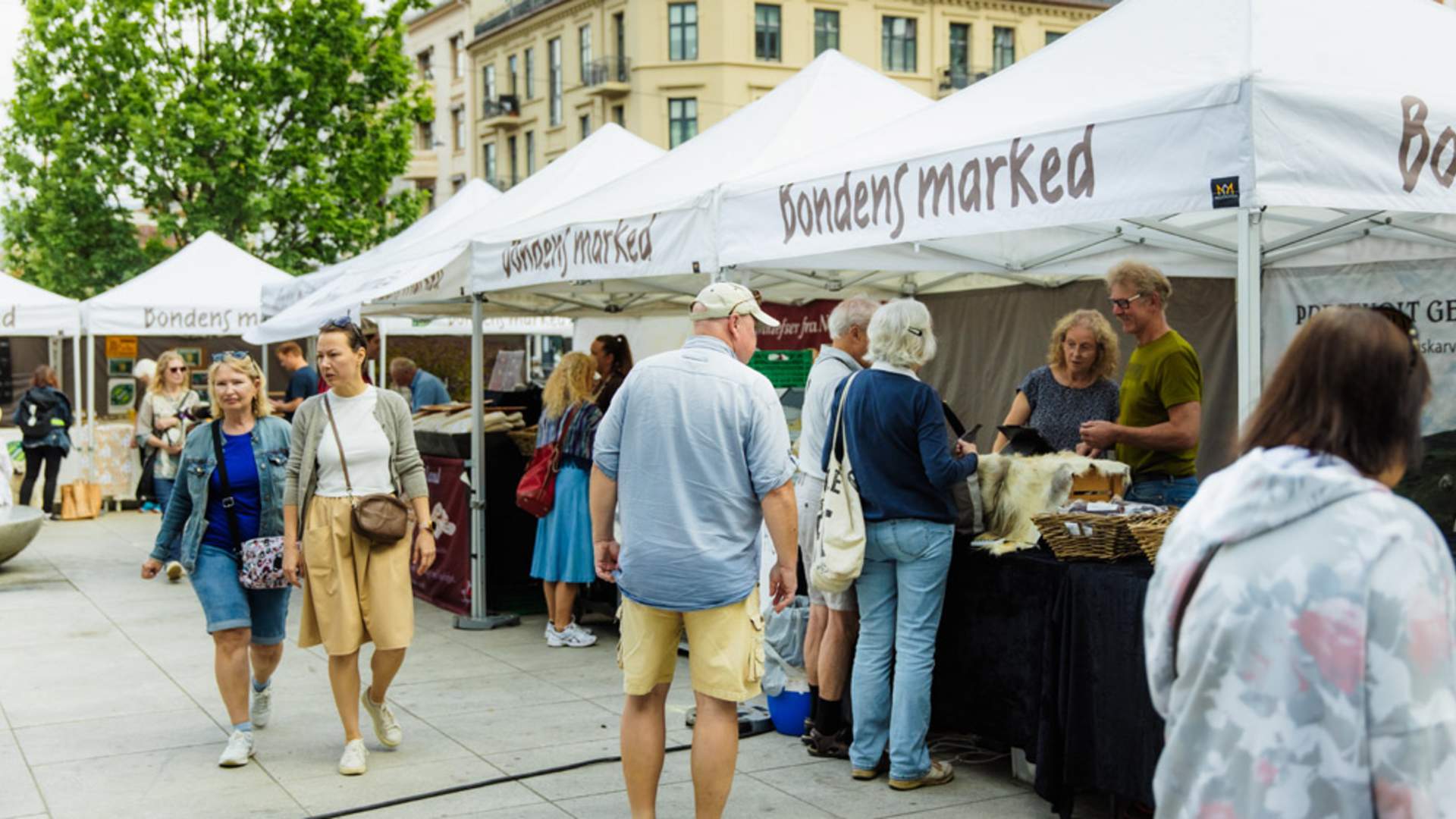 Photo 25-05-2024, 8 55 00?AM