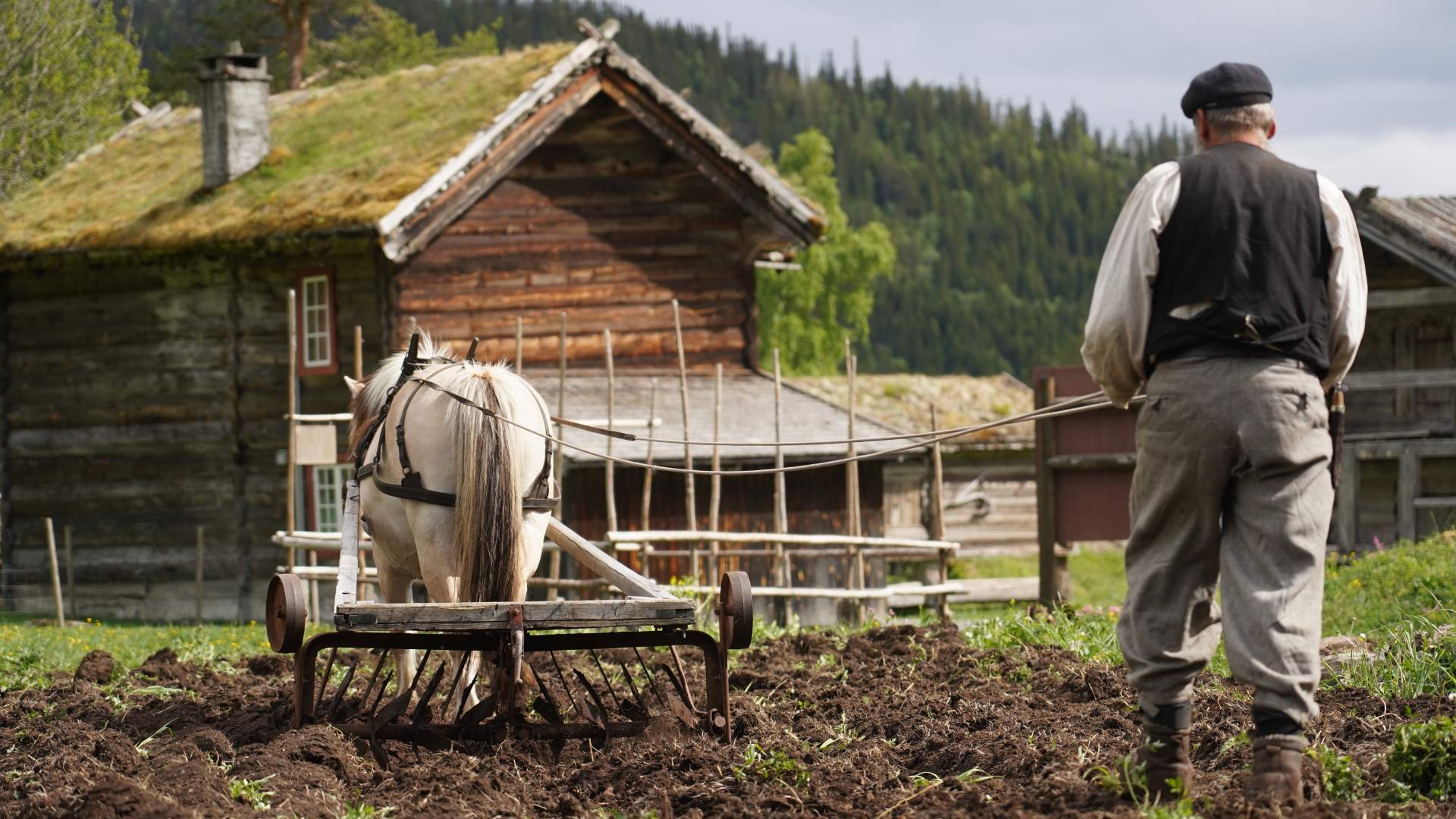 Pløying våronn 2025 (1)