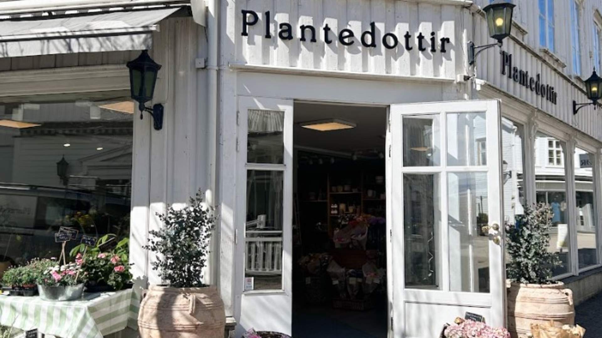 Plantedottir1