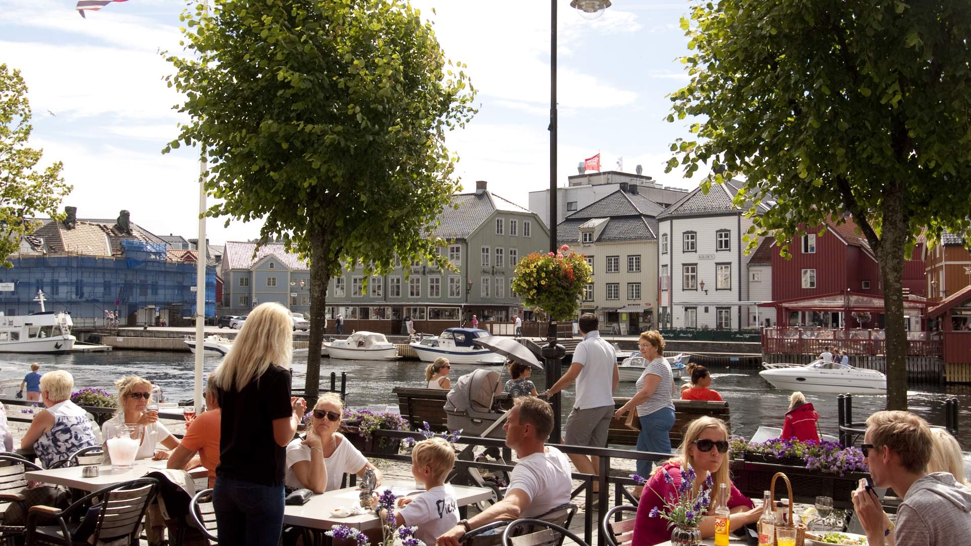 Pollen i Arendal