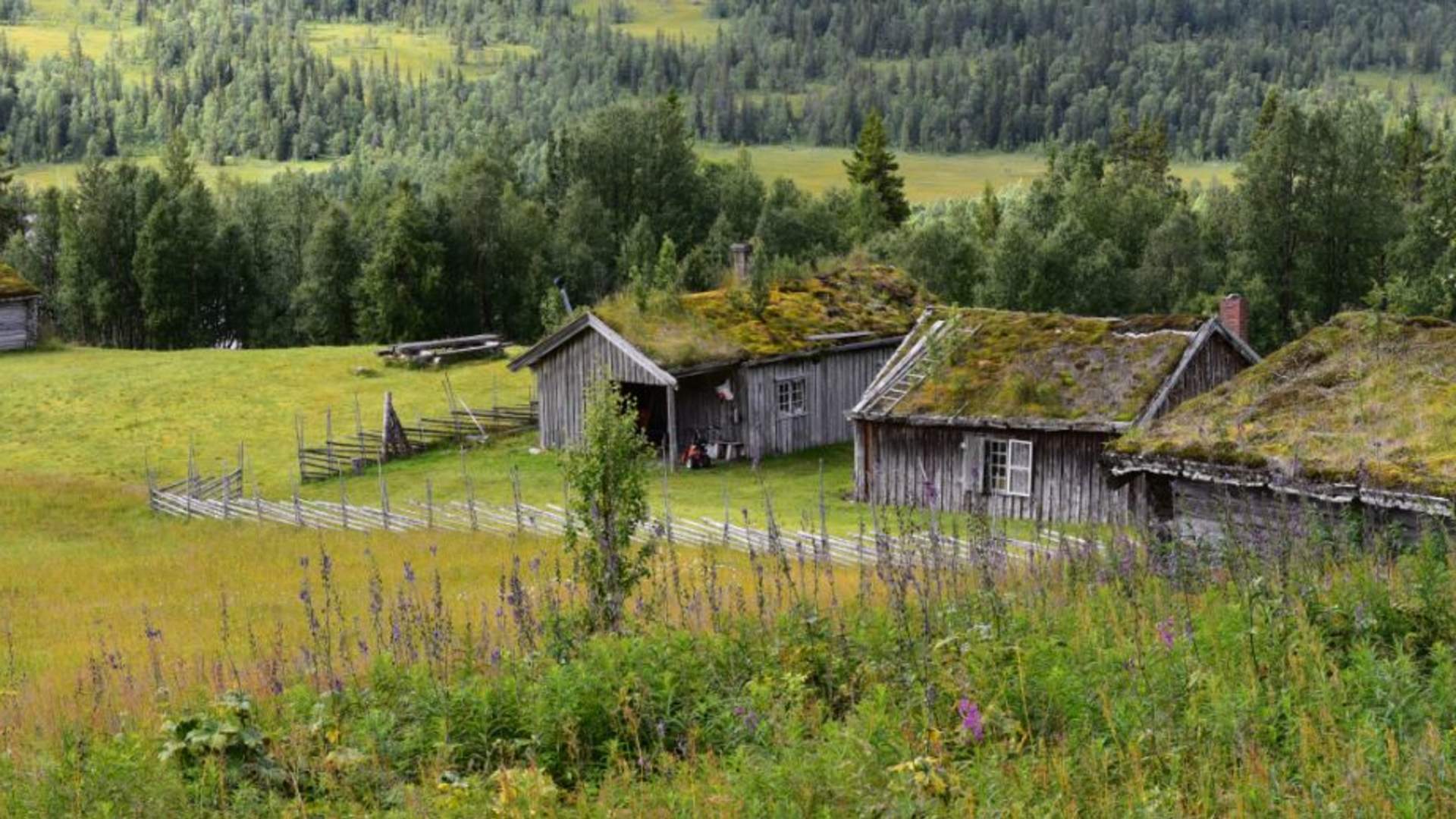Rømmervasseteren