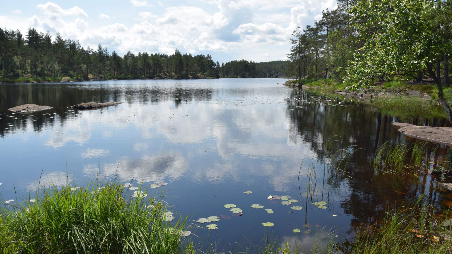 NJFF Stensvannet, midtre