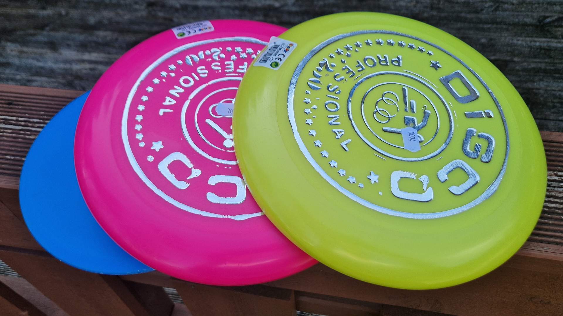 Ramton_nye aktiviteter_frisbee etc_111613