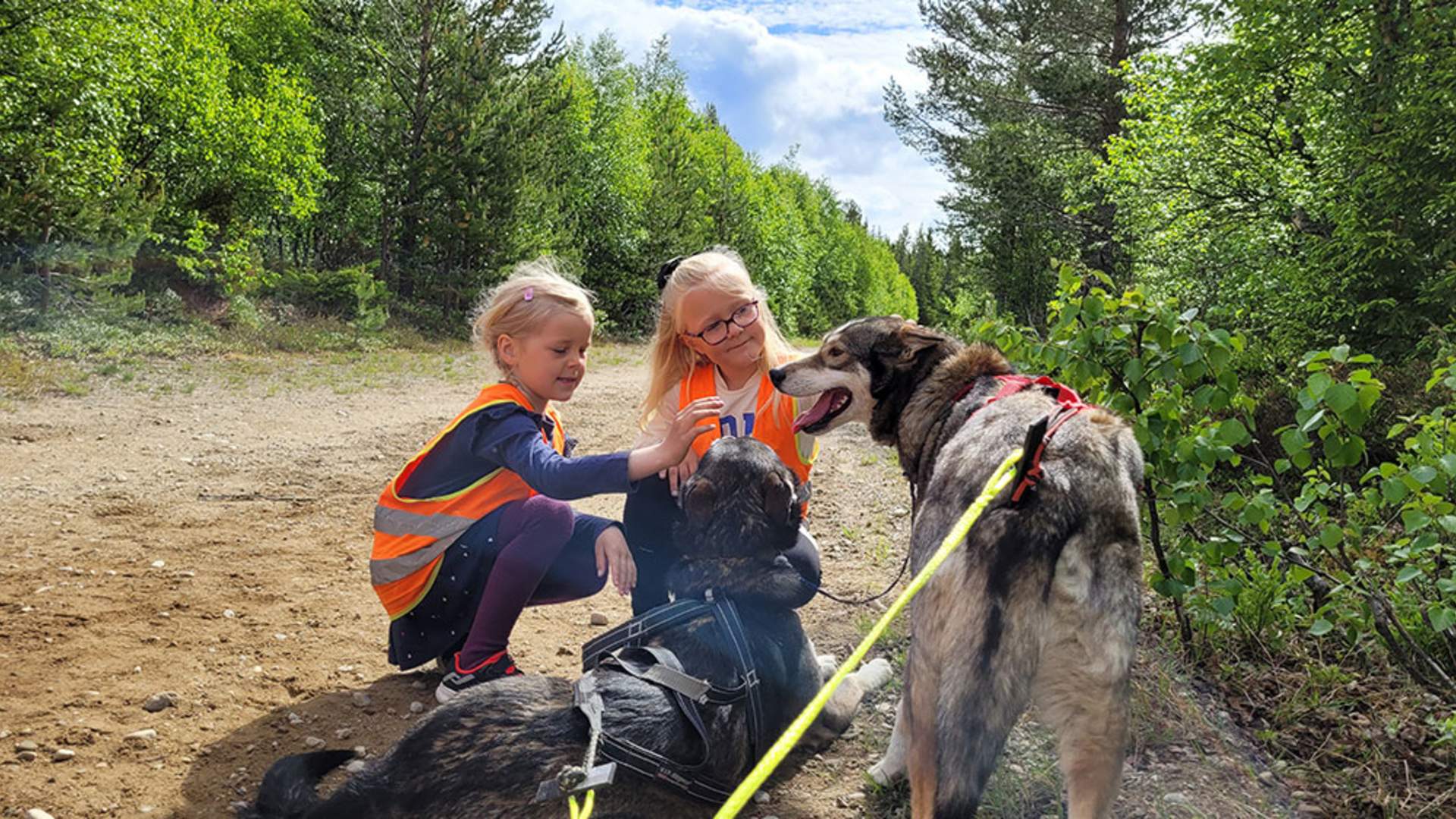 barn med hunder 2_web