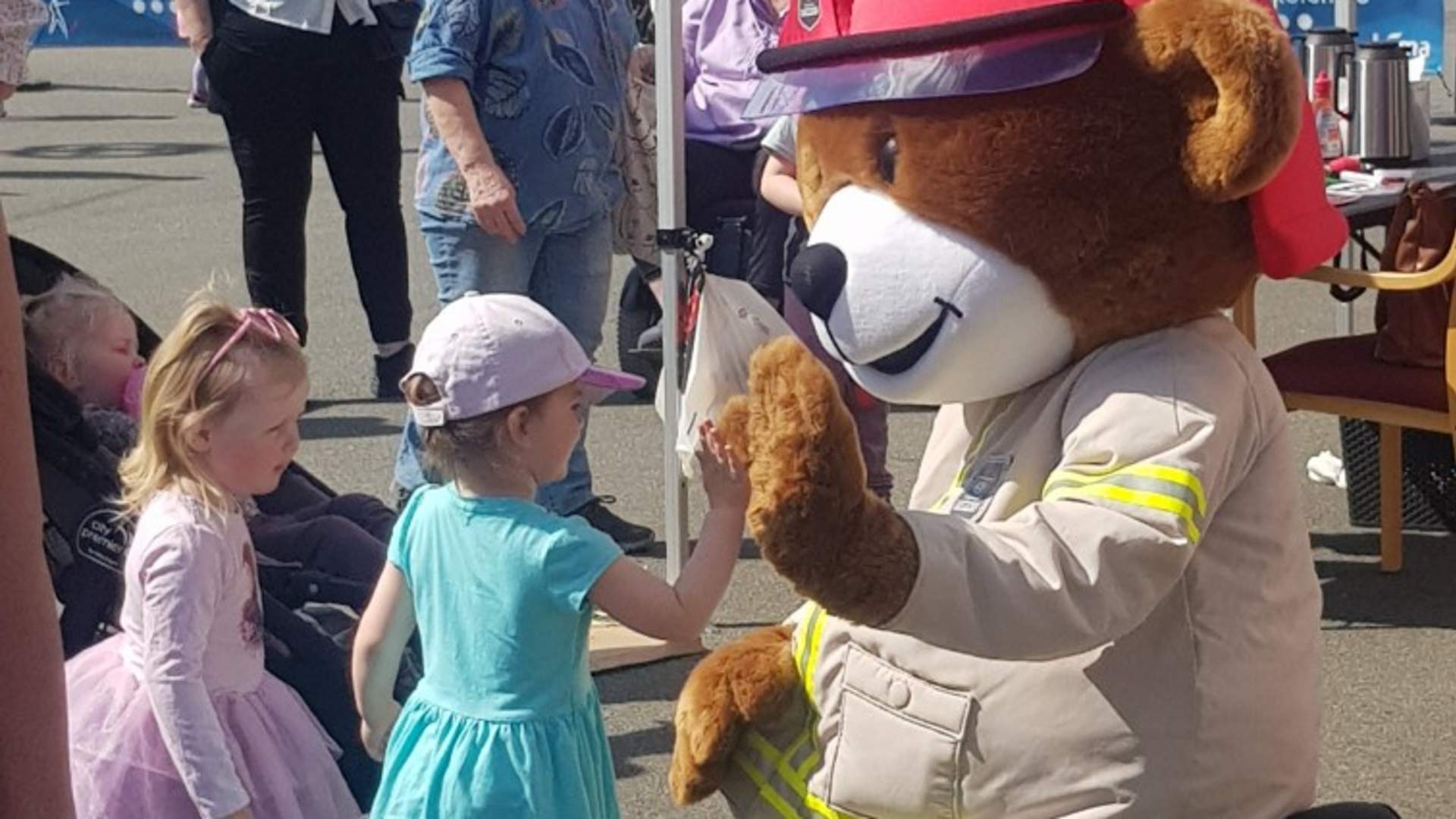 Vårslepp på Åmot