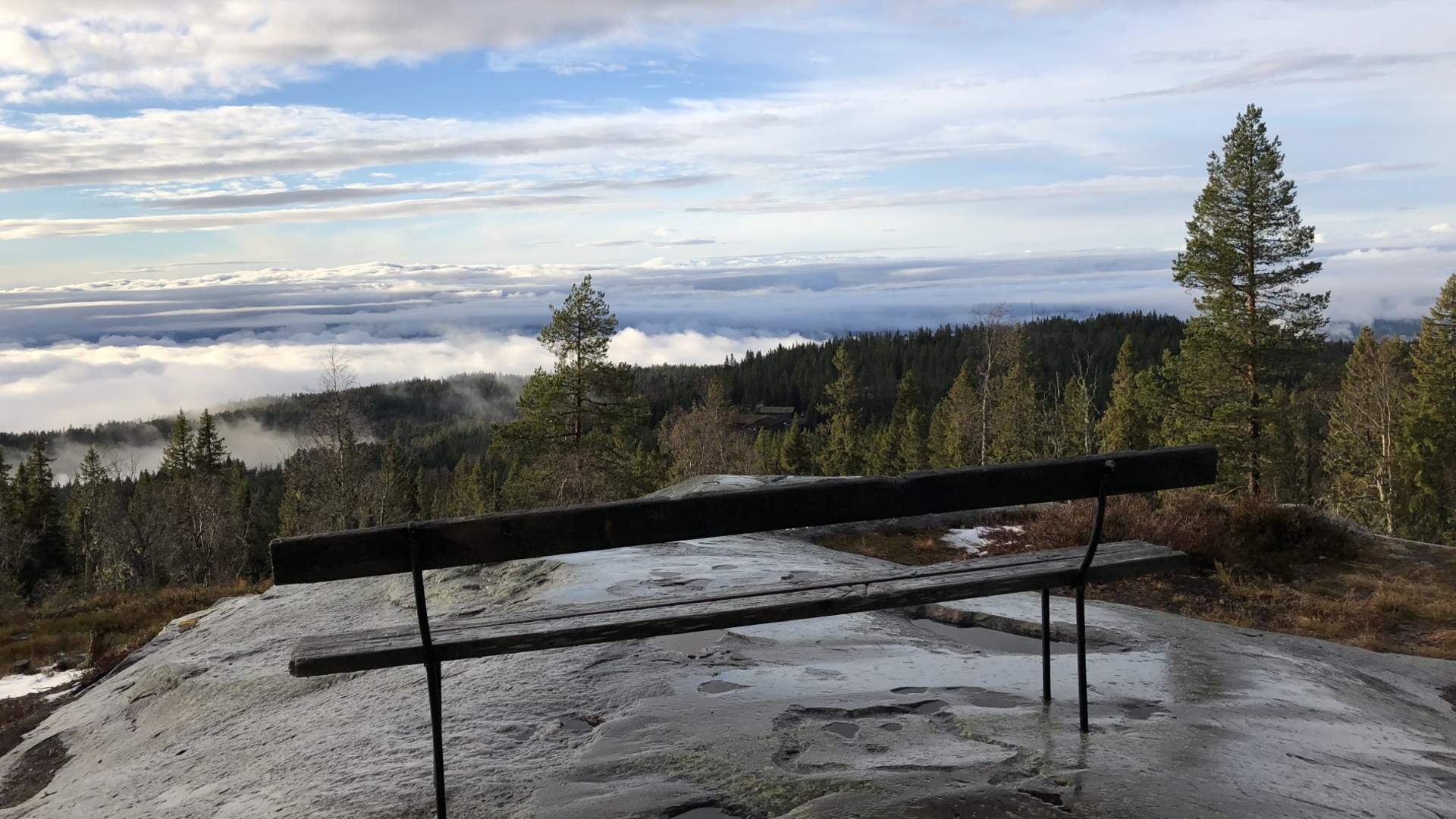 Ringkolltoppen Skiforeningen