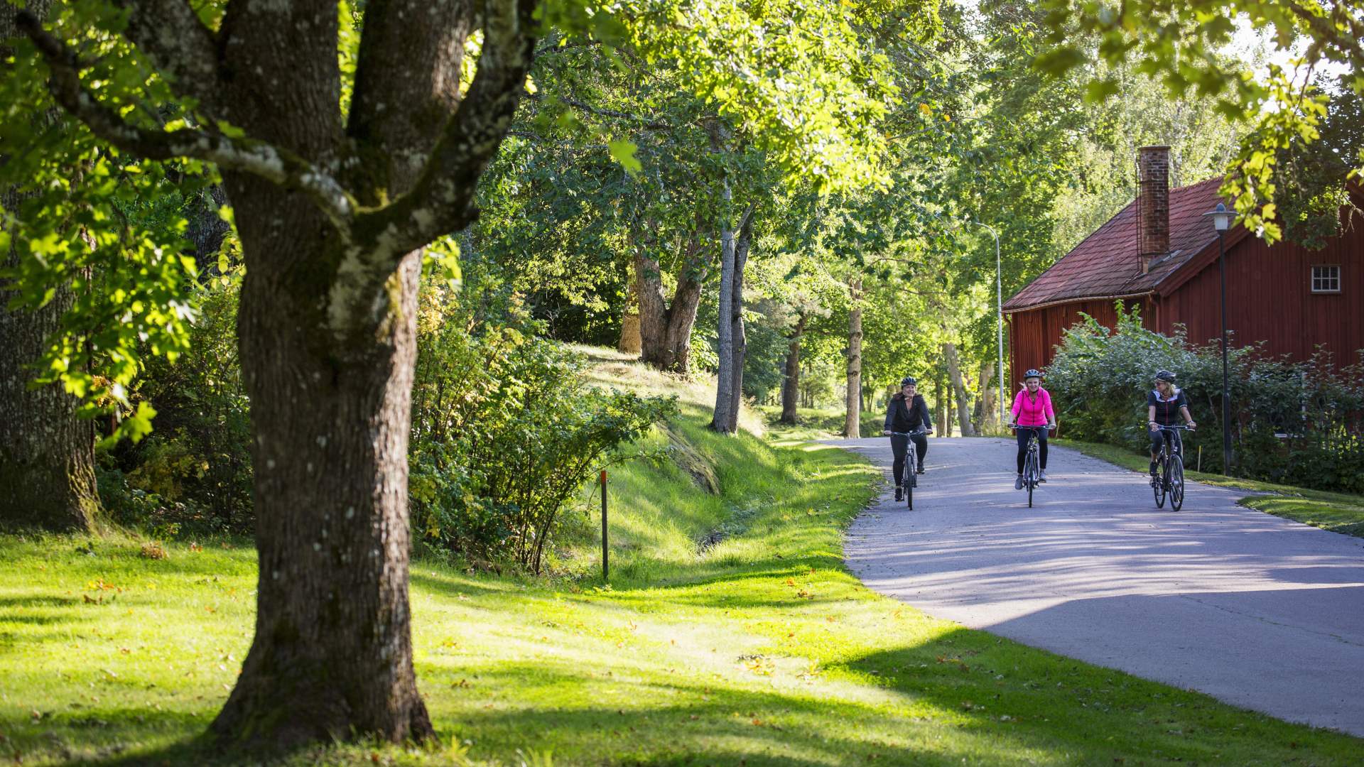 Roger Borgelid_VisitVarmland Cykel Borgvik-ByVa¨gen 02