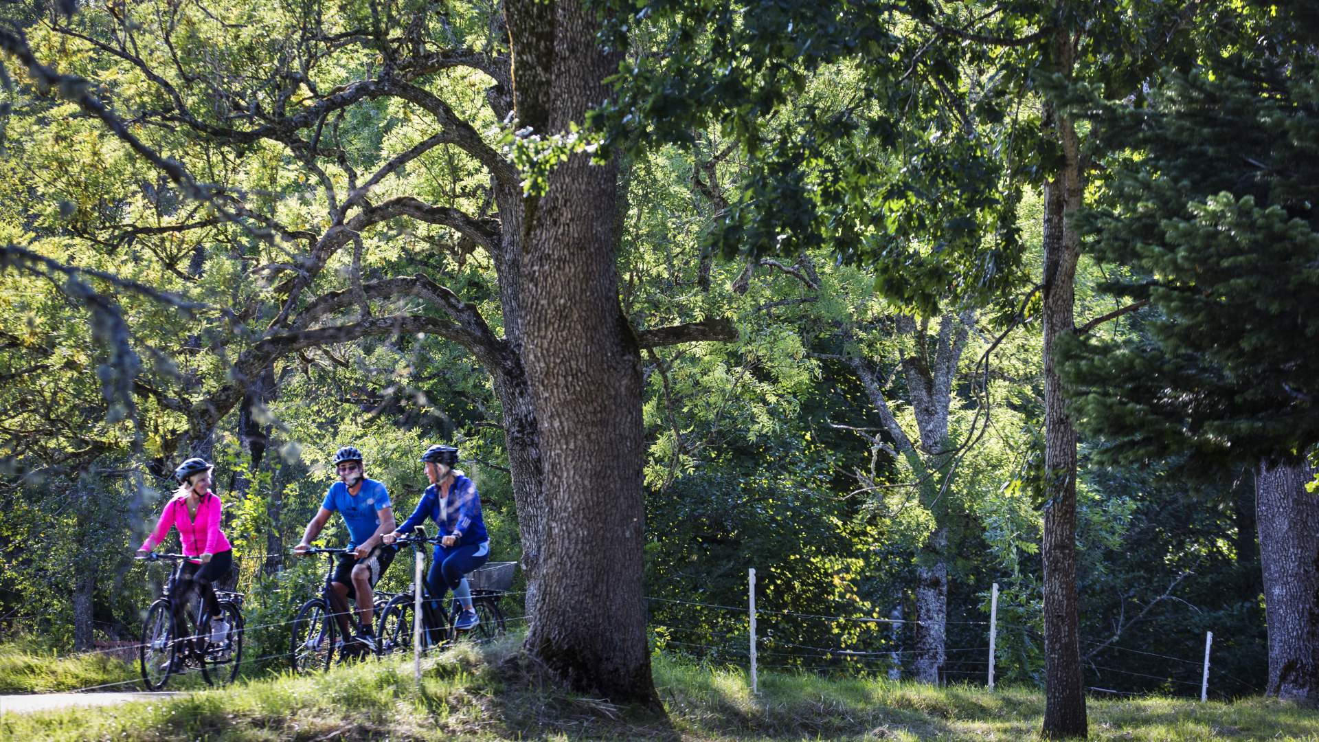 Roger Borgelid_VisitVarmland Cykel Borgvik-Ekhage Motljus 01
