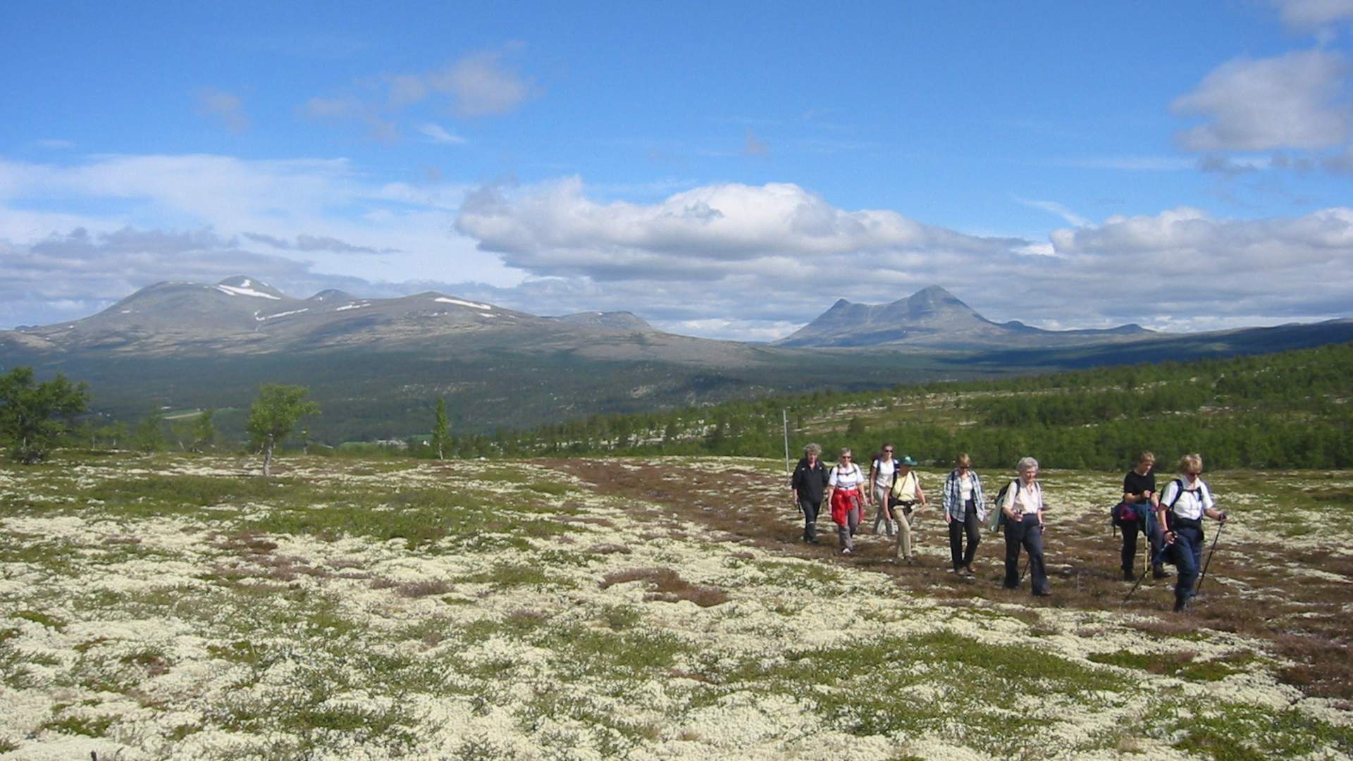 Rondane IMG_7012