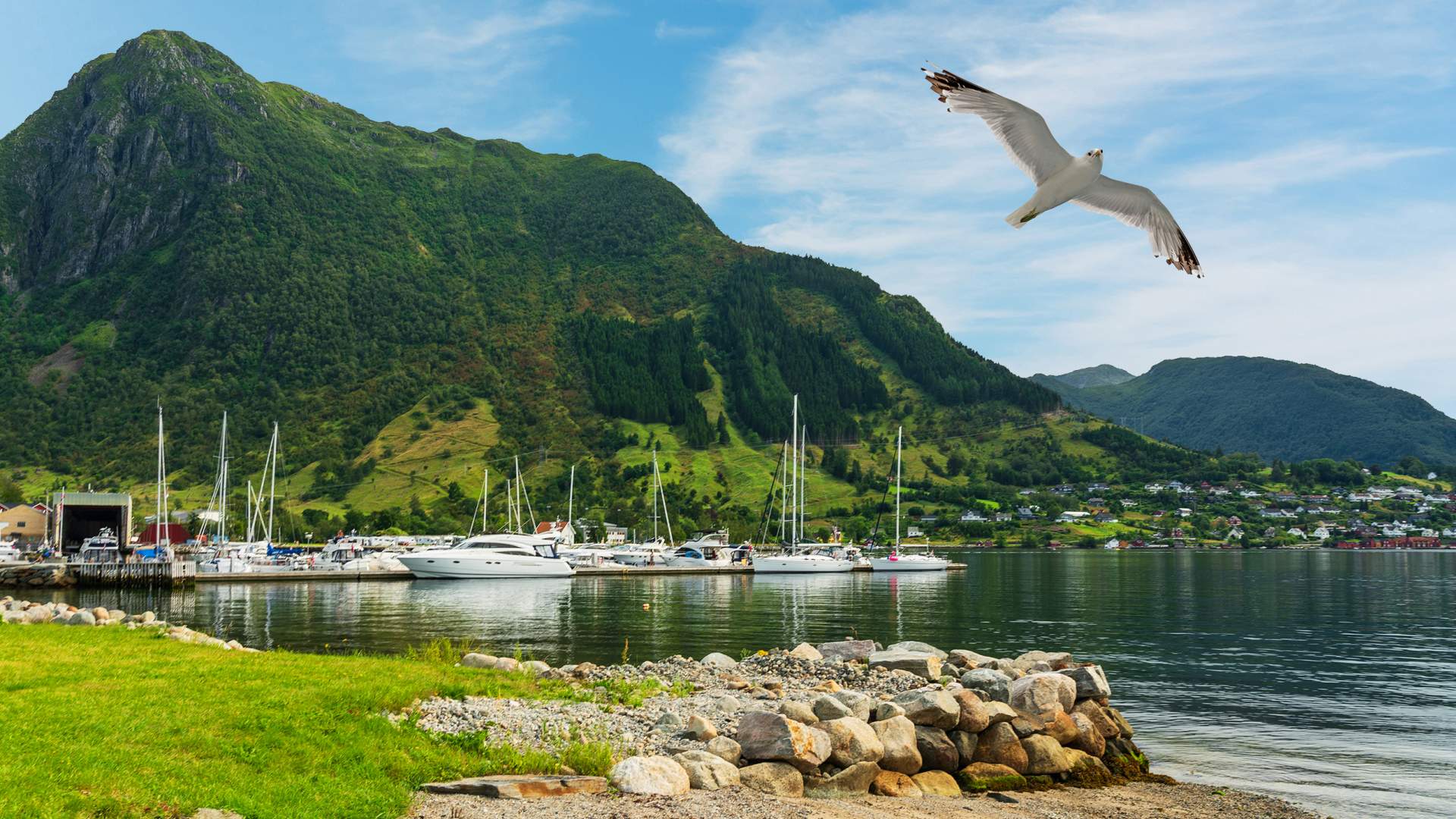 Rosendal