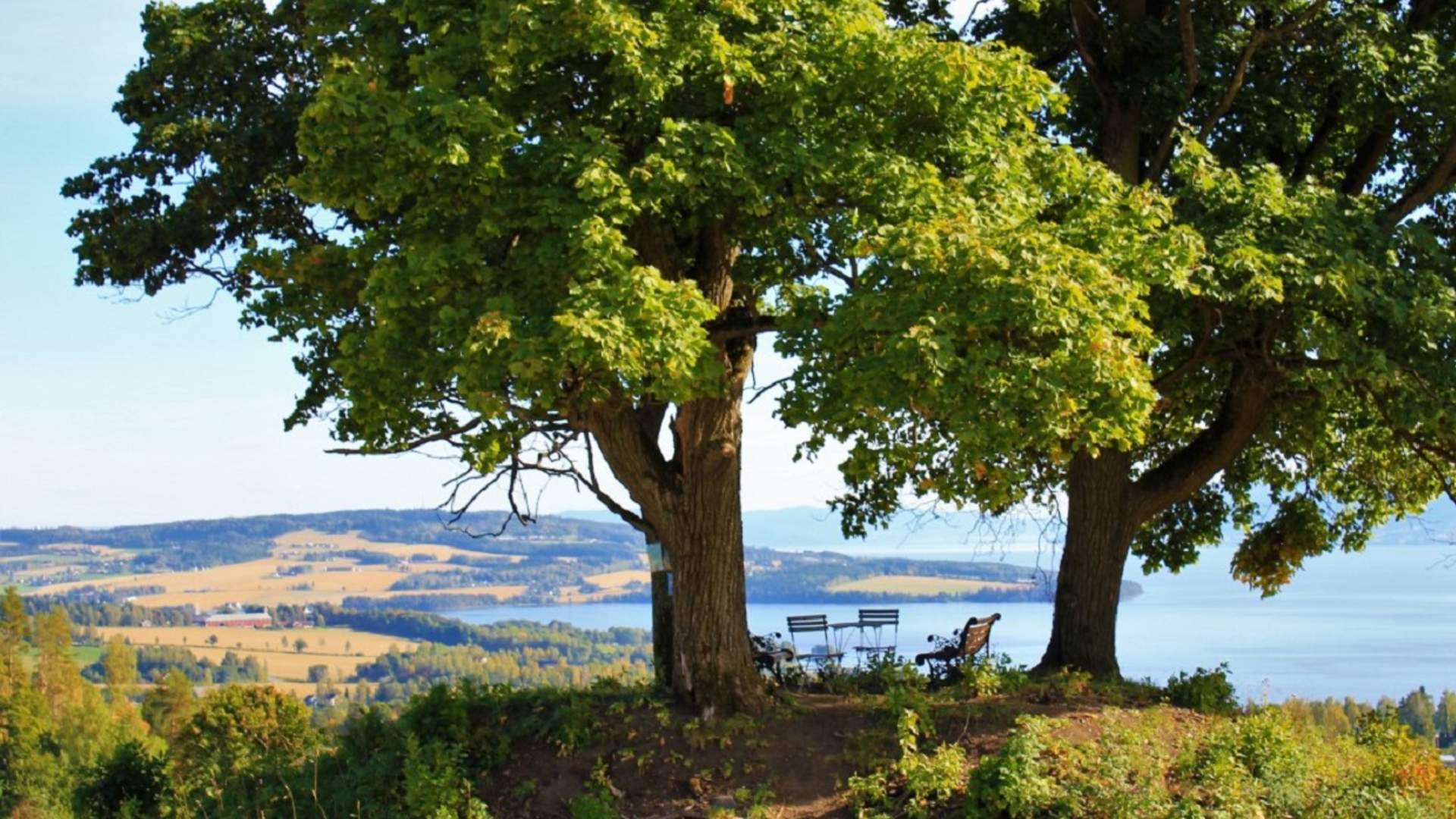 Rundhaugen Nes&Helgøya