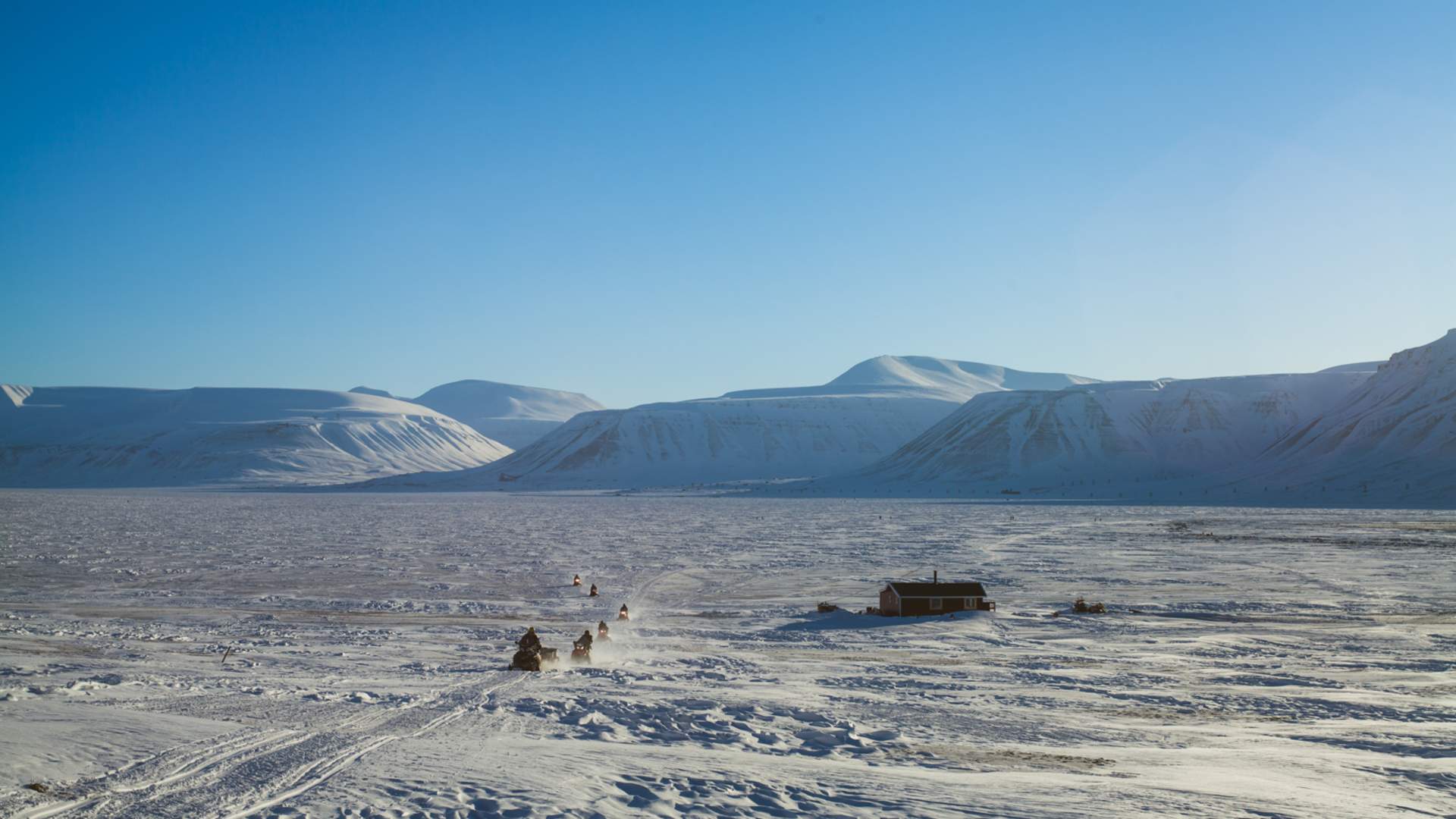 Poli Arctici